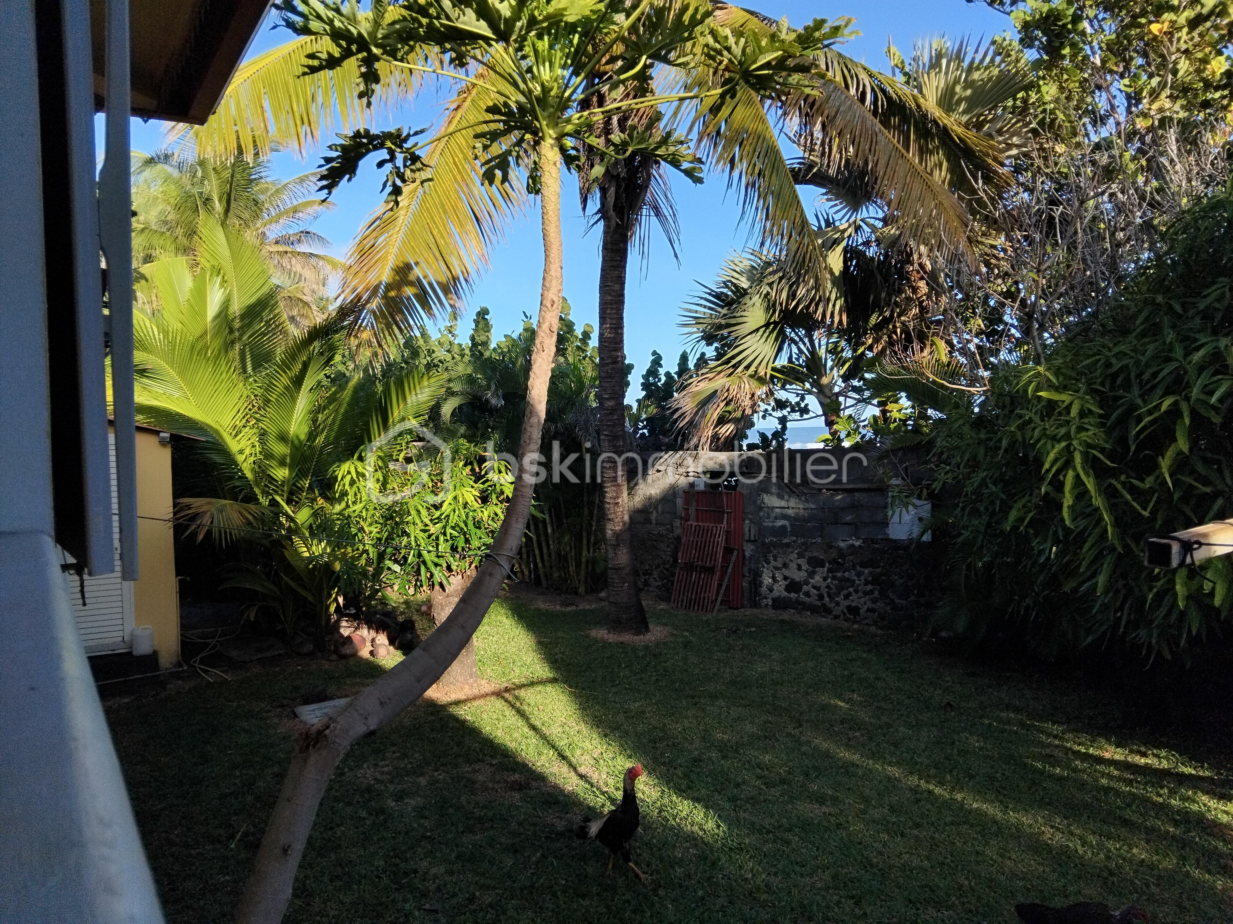 jardin vue mer.jpg