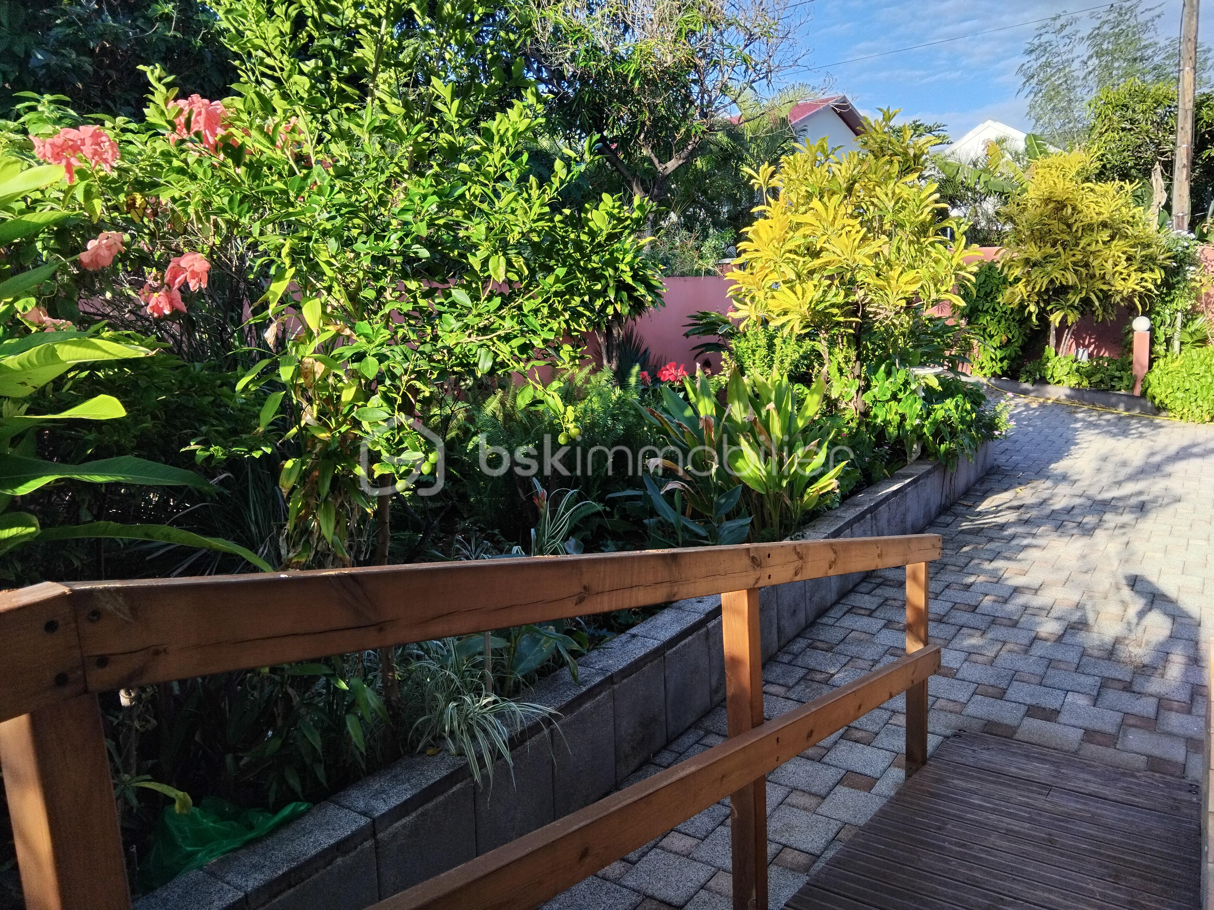 jardin créole.jpg