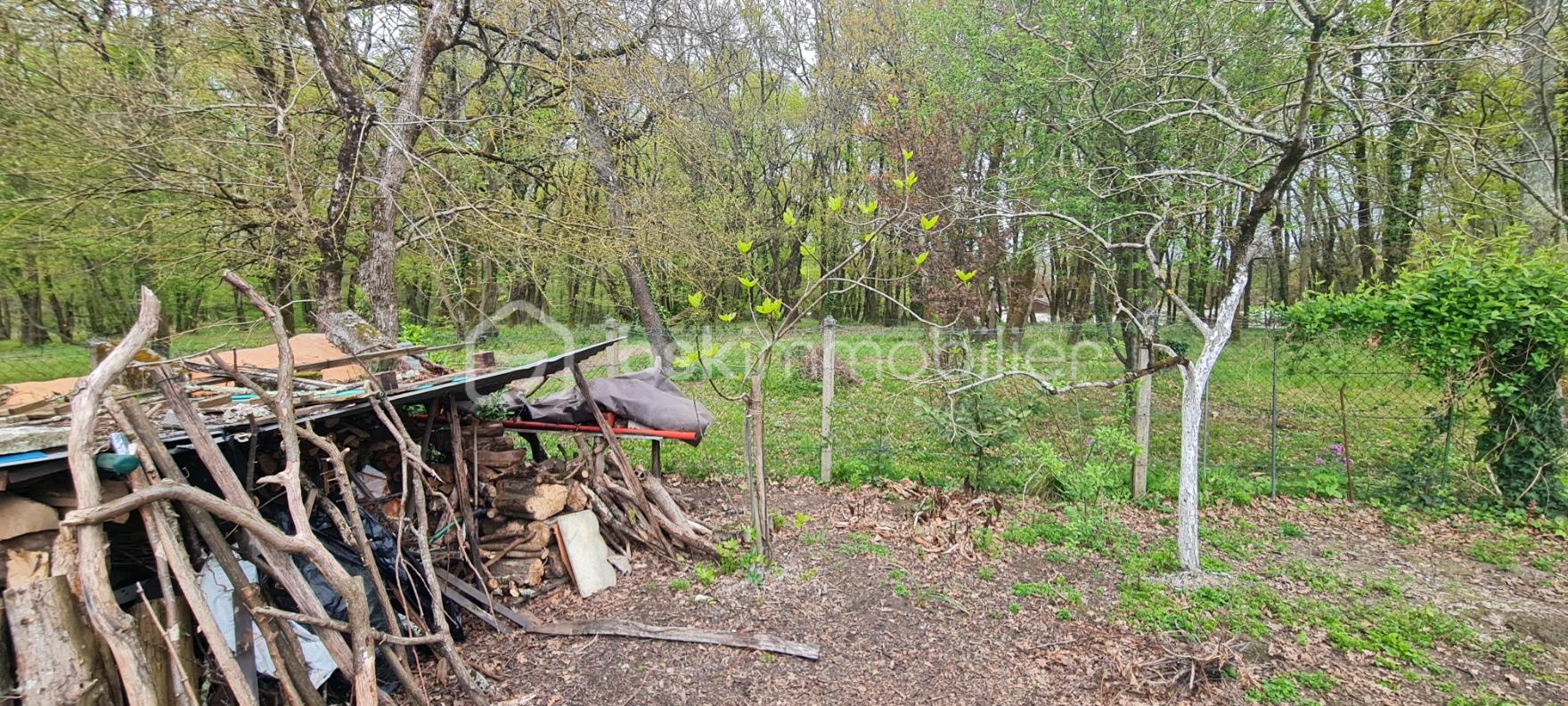 Photo Jardin derrière.jpg