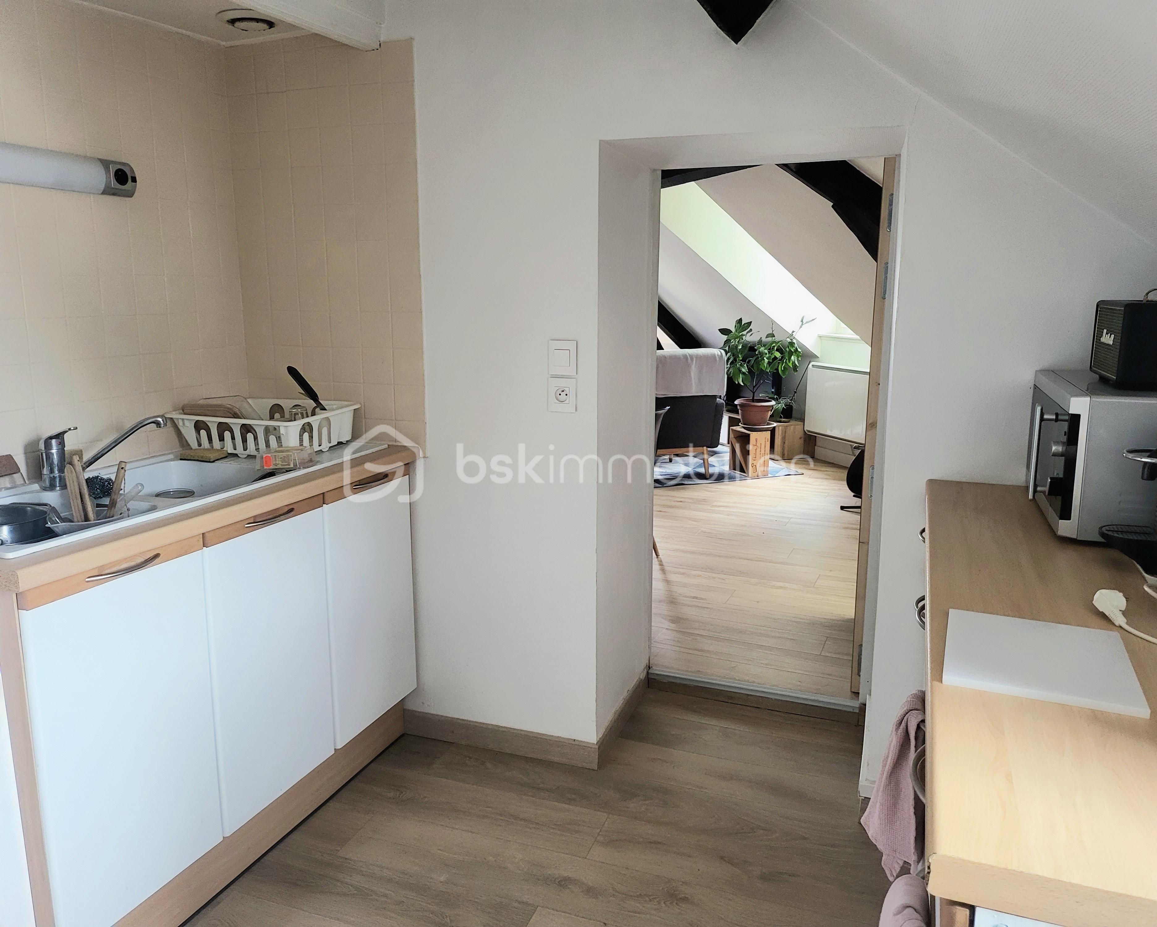 Appartement de 48,76 m² - Cuis 3 étage.jpg