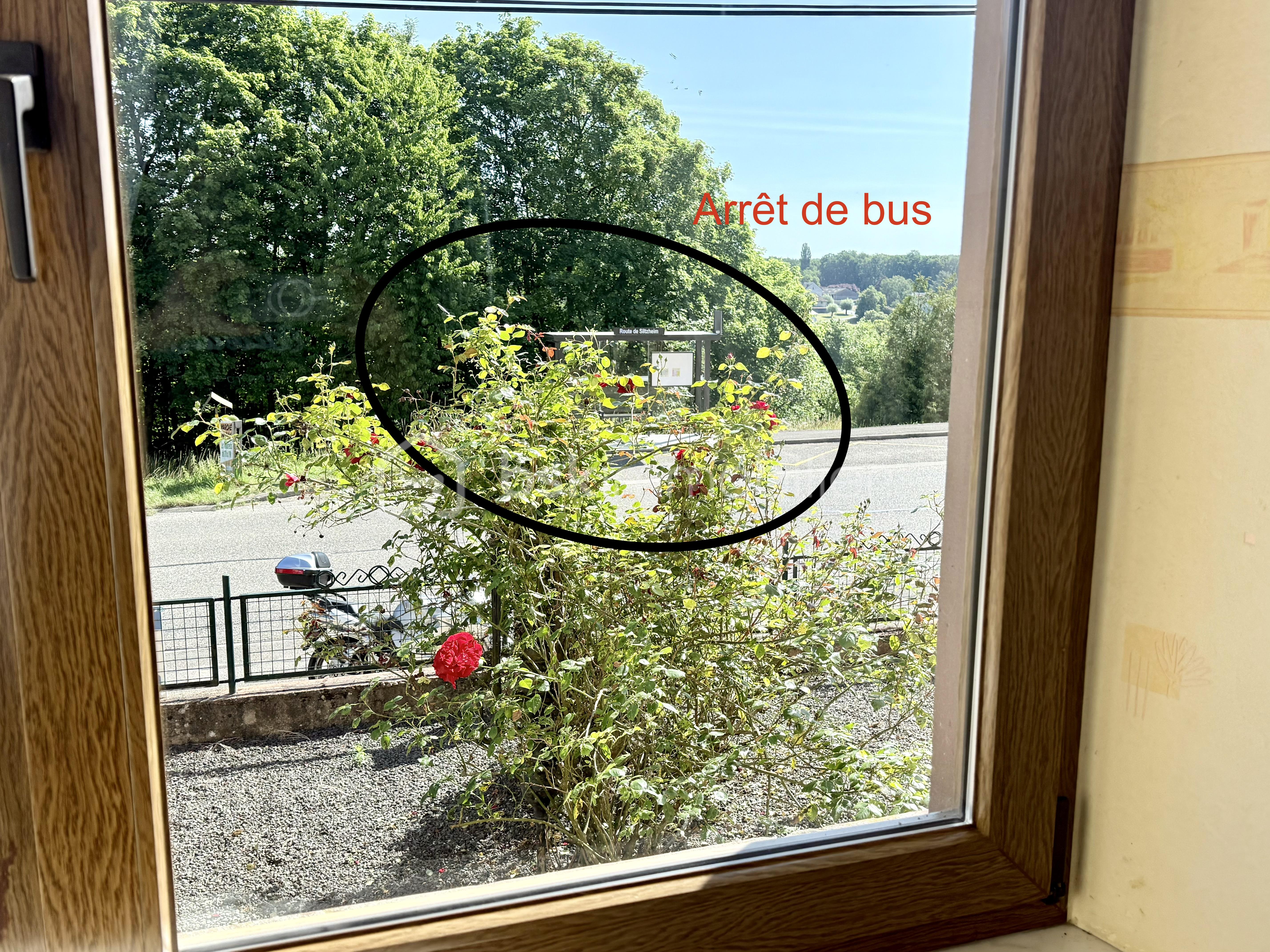 IMG_0373.jpeg