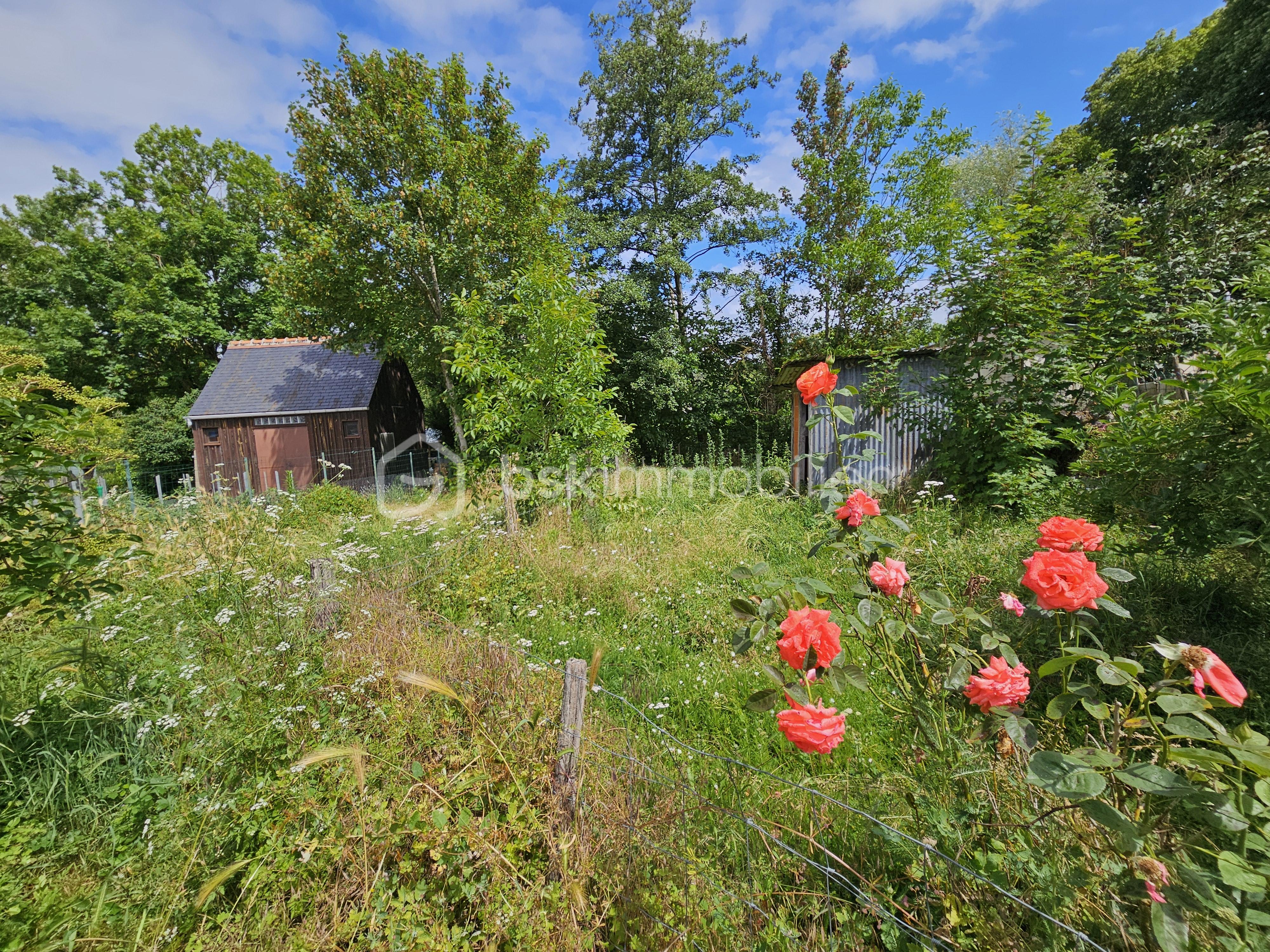 jardin.jpg