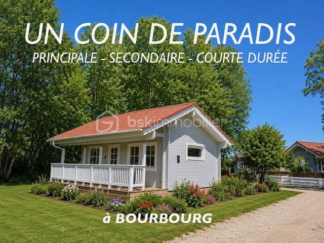haddouche façade nouvelle 35 avec fleurs et autres.jpeg