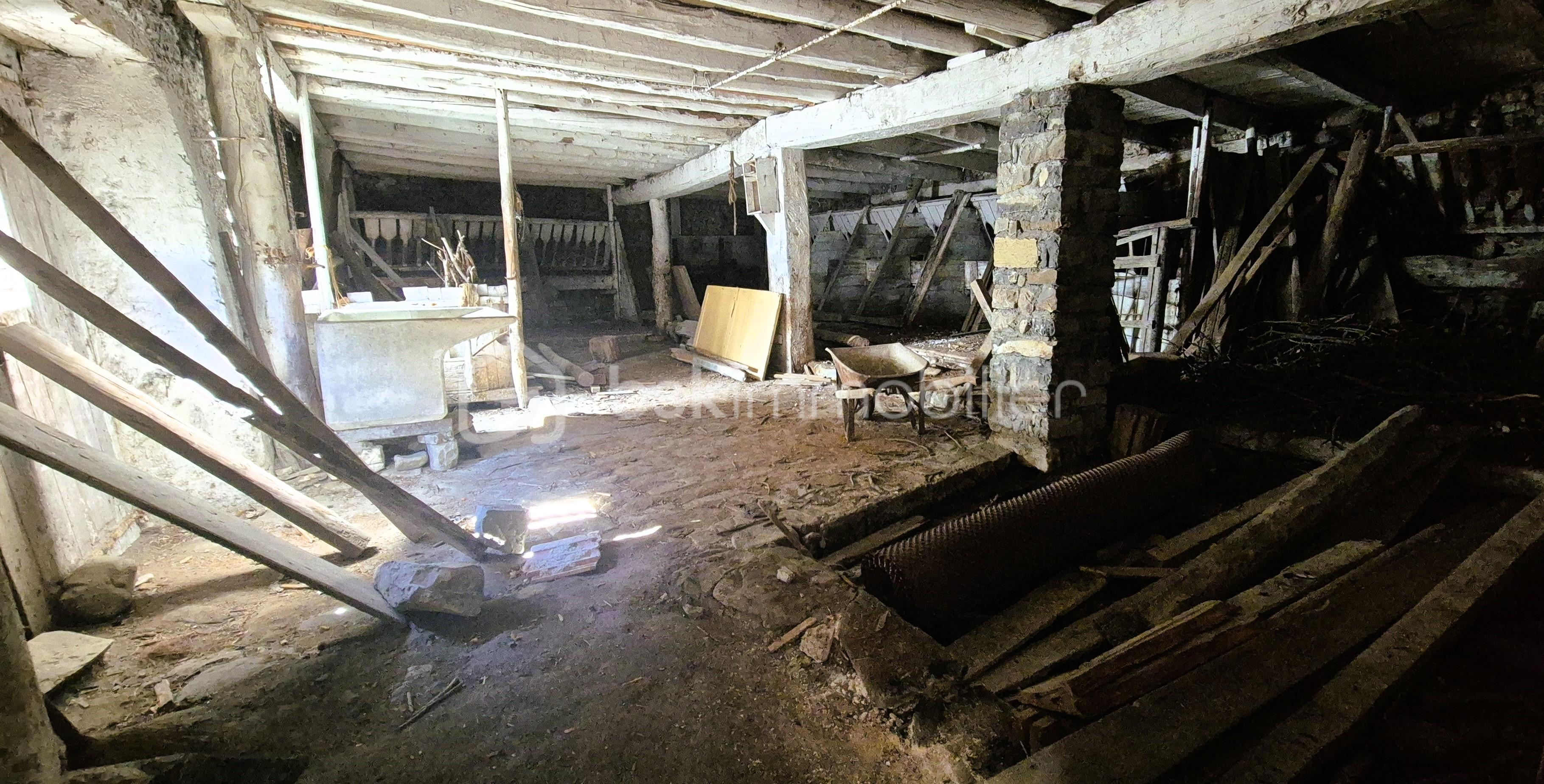 20260903_162620.jpg