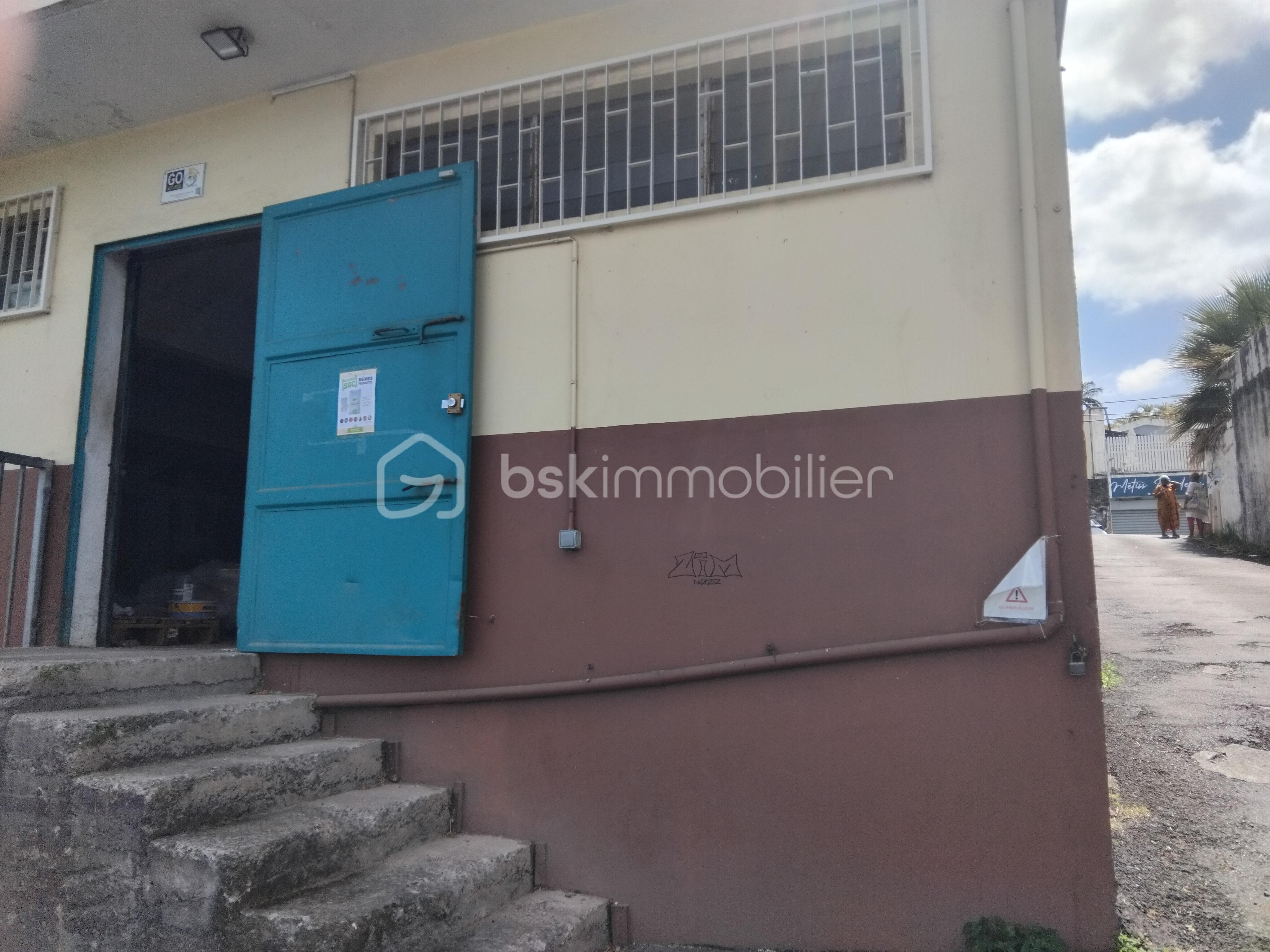 Local commercial de 220 m² - porte local ss sol.jpg