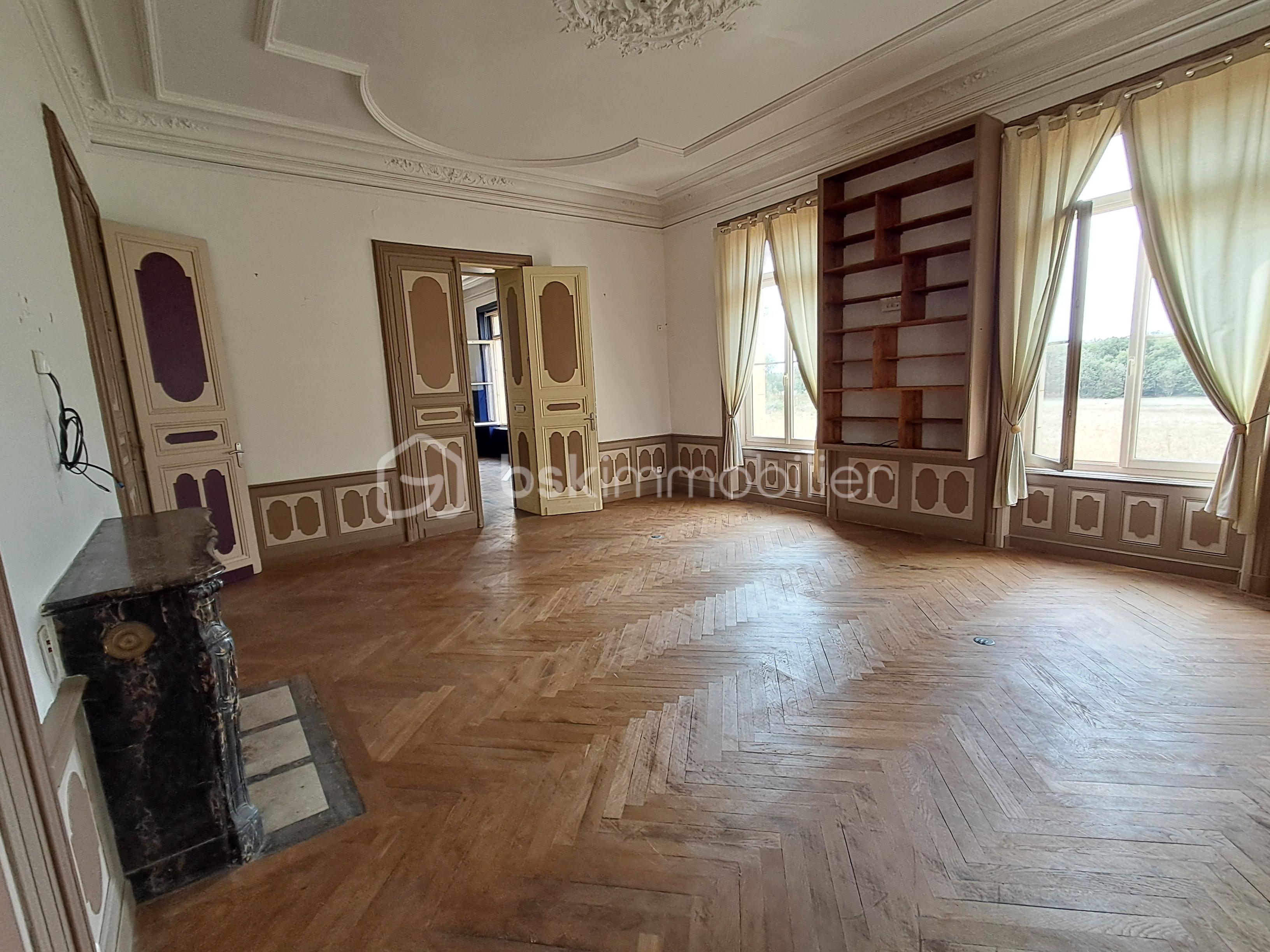 Chateau de 770 m² - SALON 1 BIS.jpg