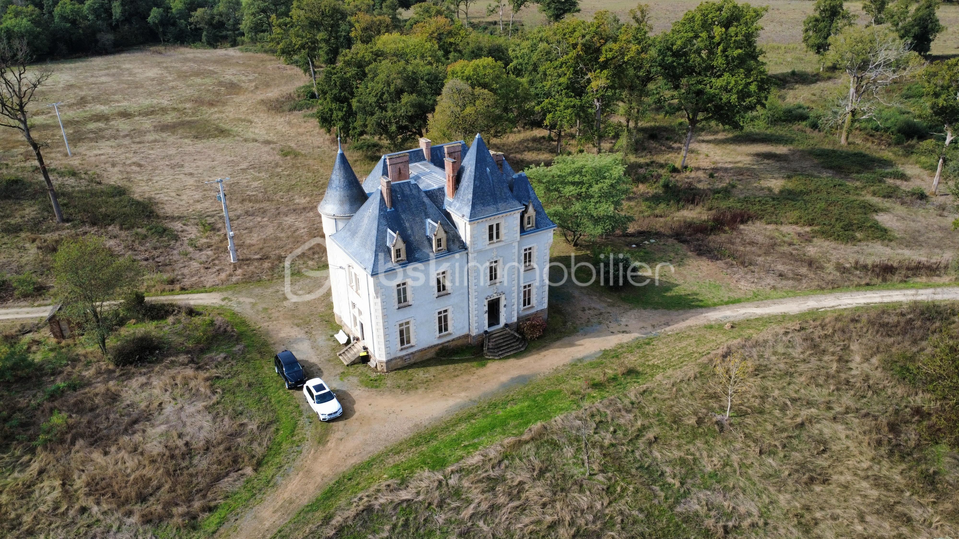 Chateau de 770 m² - dji_fly_20250912_114612_145_1757670579892_photo_optimized.jpg