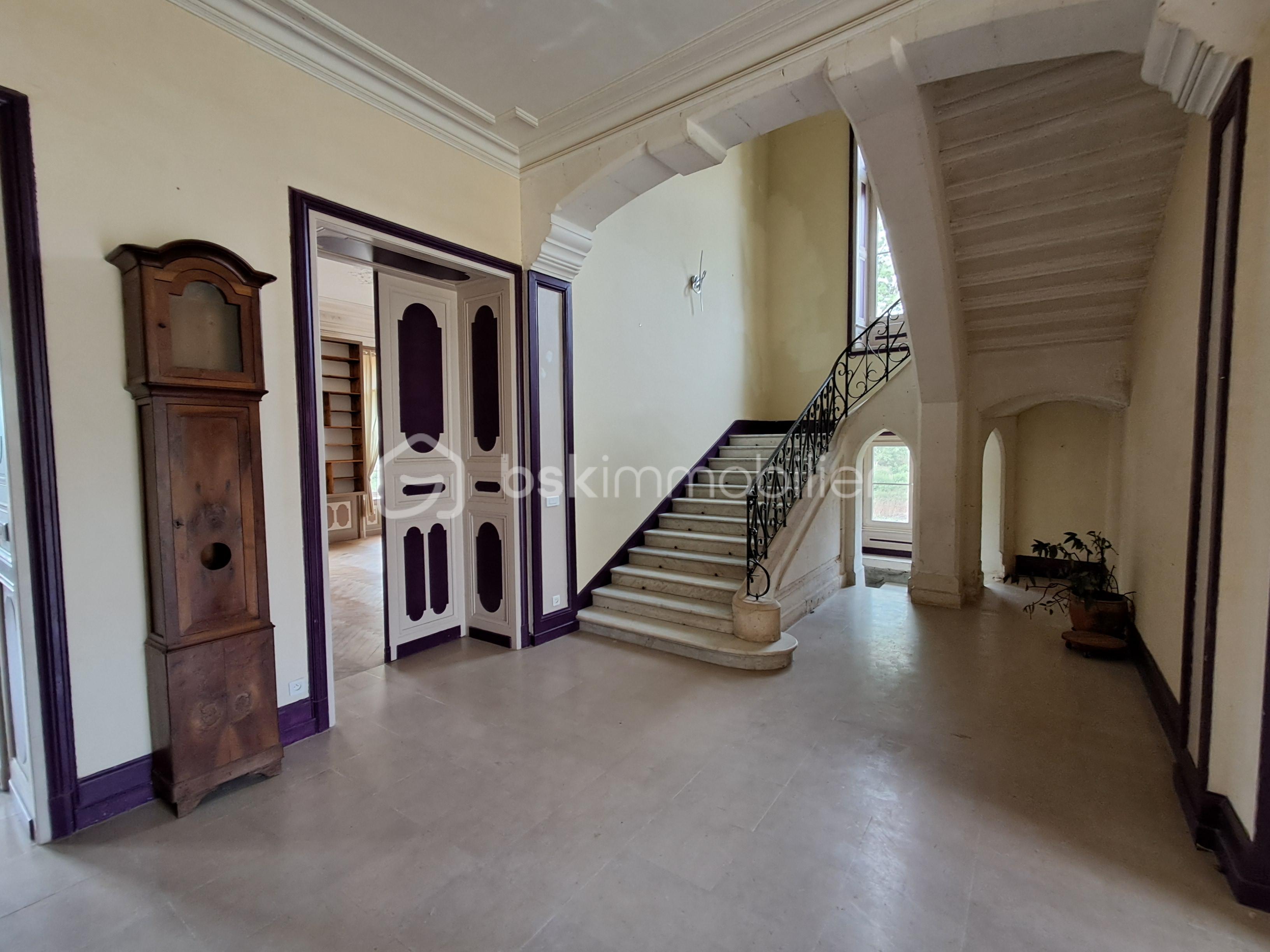 Chateau de 770 m² - HALL D ENTREE ESCALIER.jpg