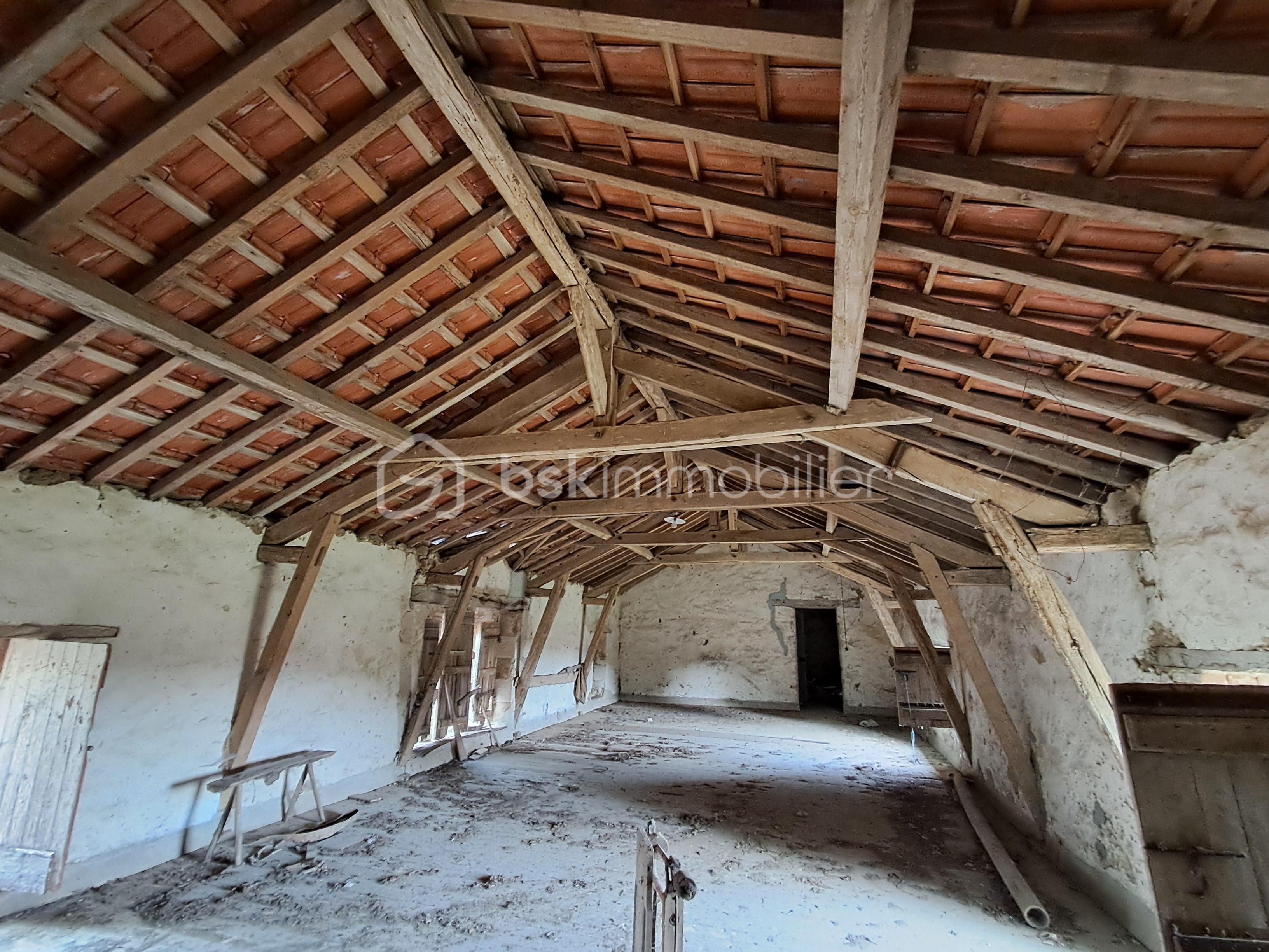 Chateau de 770 m² - 20250912_120833.jpg