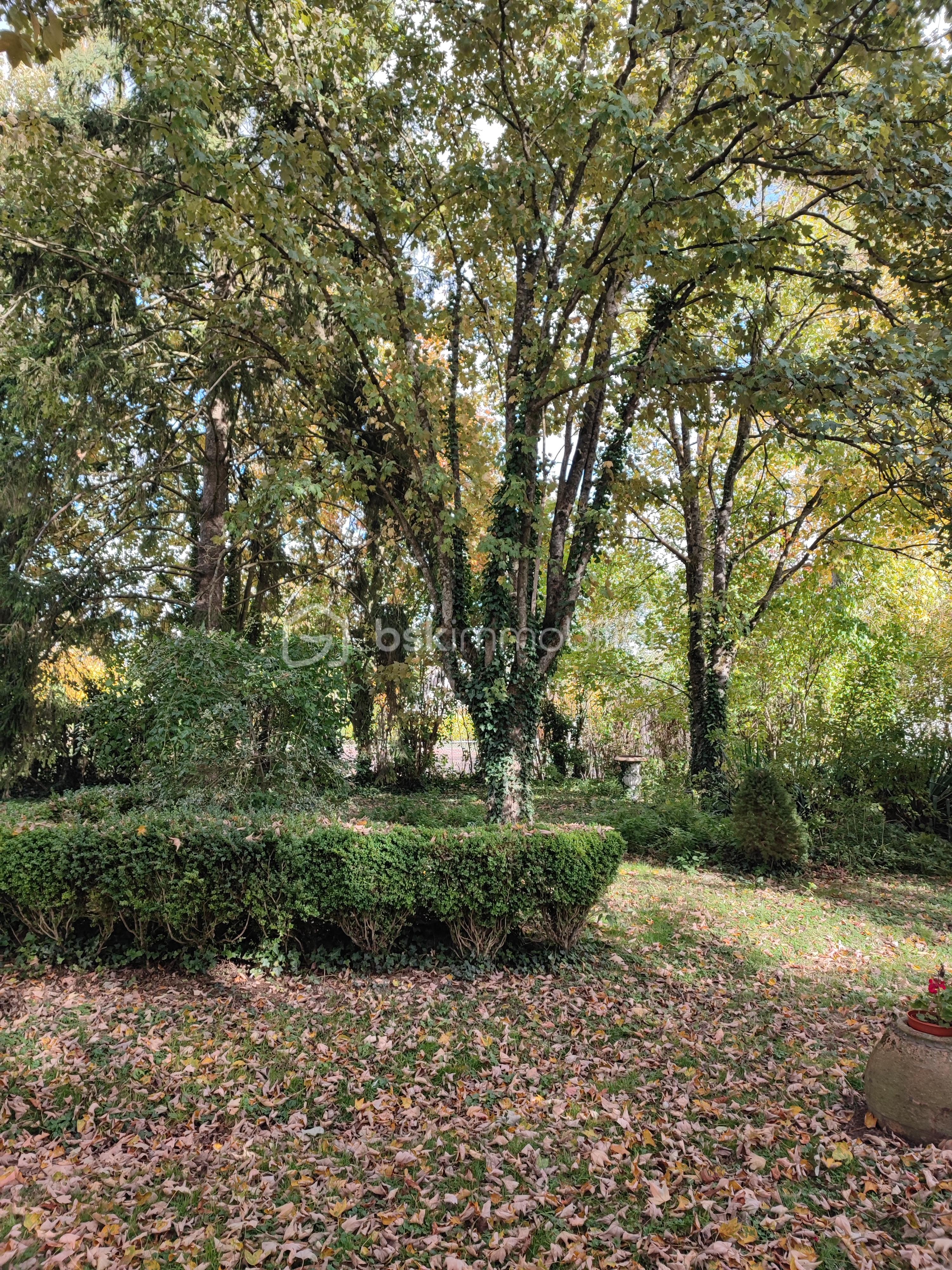 Maison de maitre de 310 m² - 1761672039779.jpg