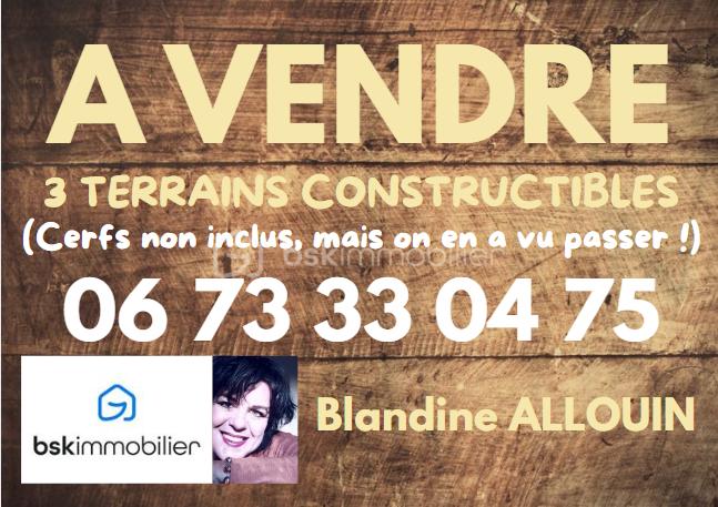 Terrain de 1 500 m² - PHOTO PANNEAU A VENDRE AVEC CERFS.png