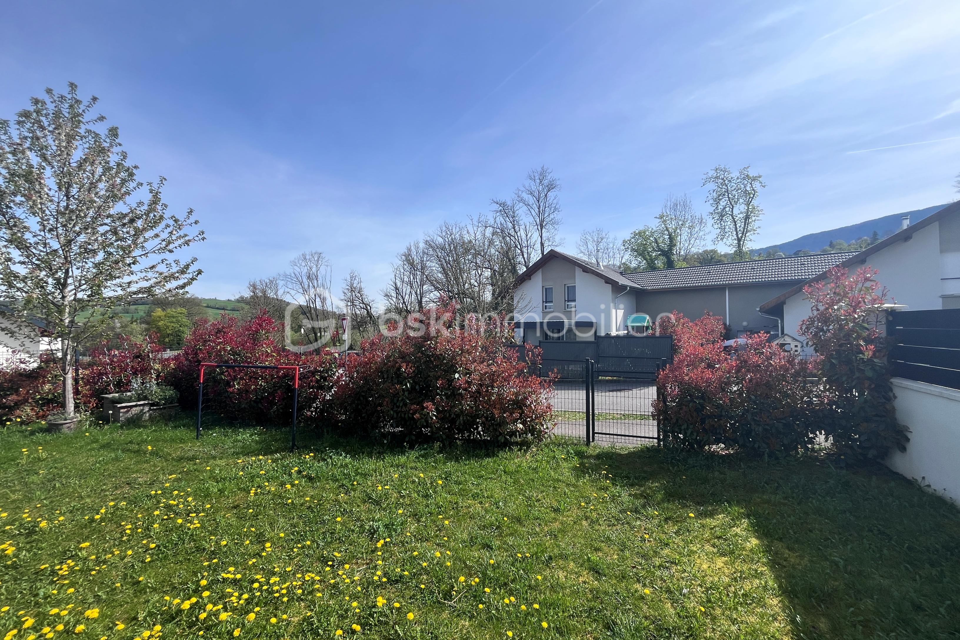 resize_IMG_1959 2.JPG