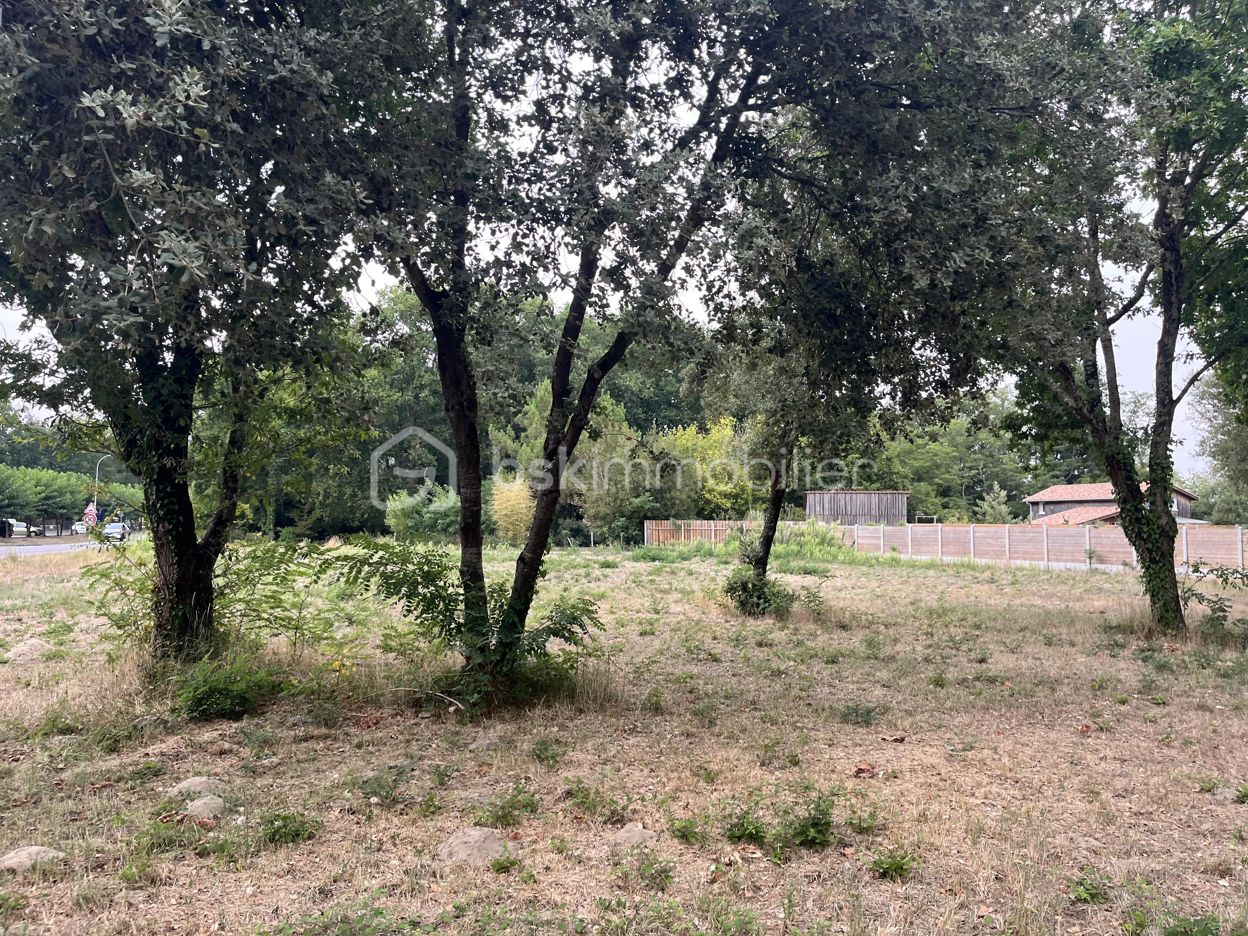Terrain de 1 200 m² - IMG_2631.jpeg