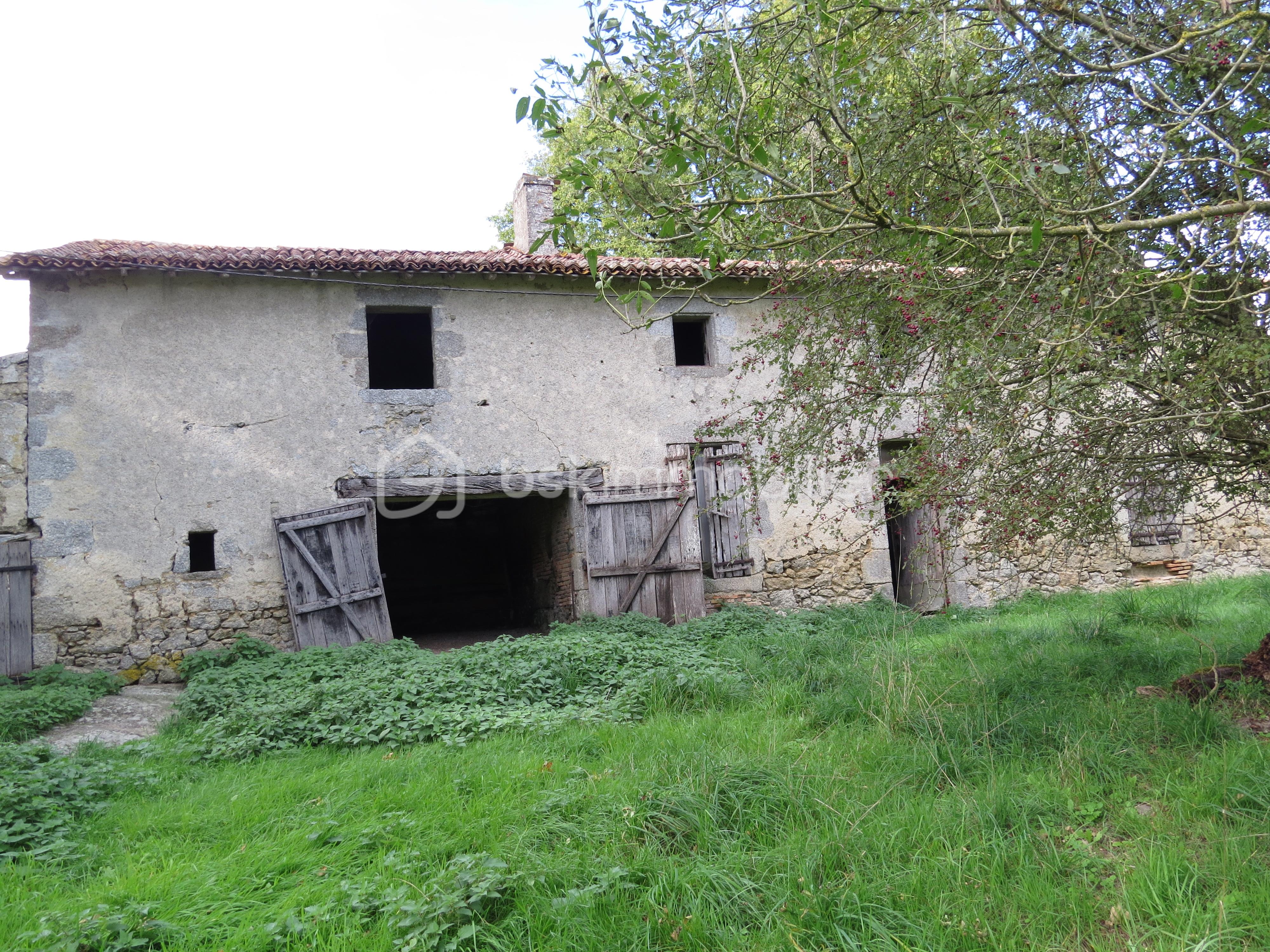 Maison ancienne de 1 140 m² - IMG_3383.JPG