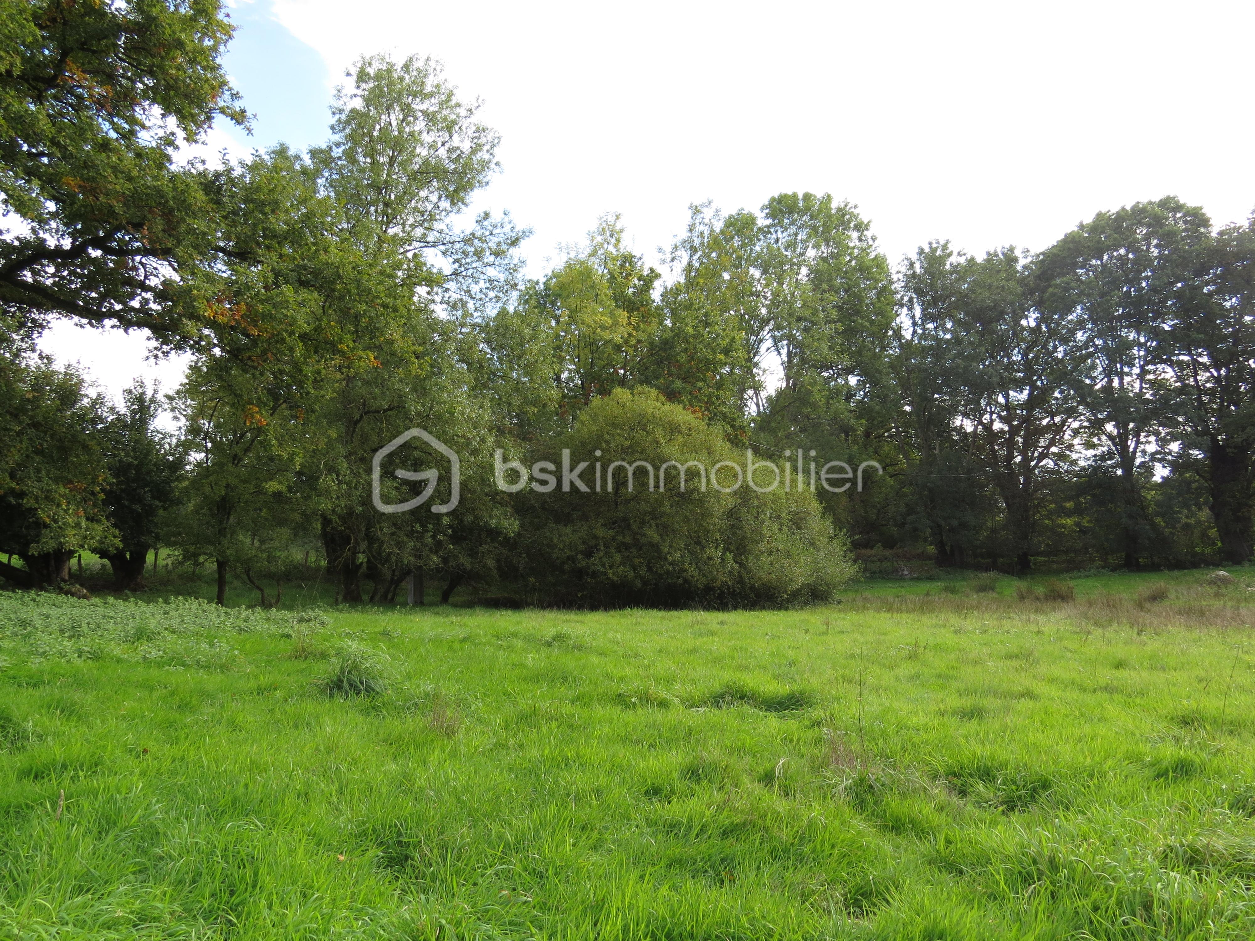 Maison ancienne de 1 140 m² - IMG_3386.JPG