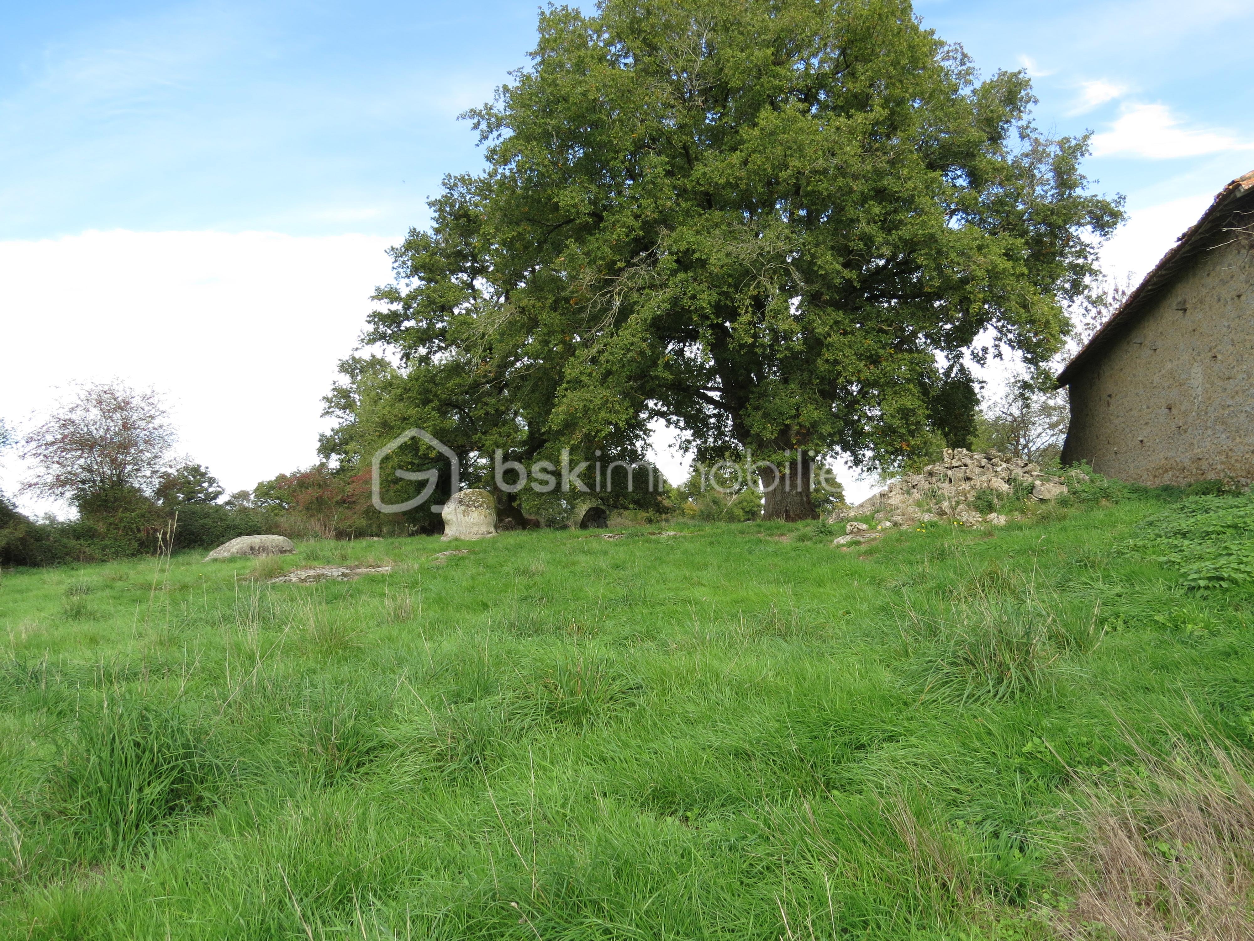 Maison ancienne de 1 140 m² - IMG_3387.JPG