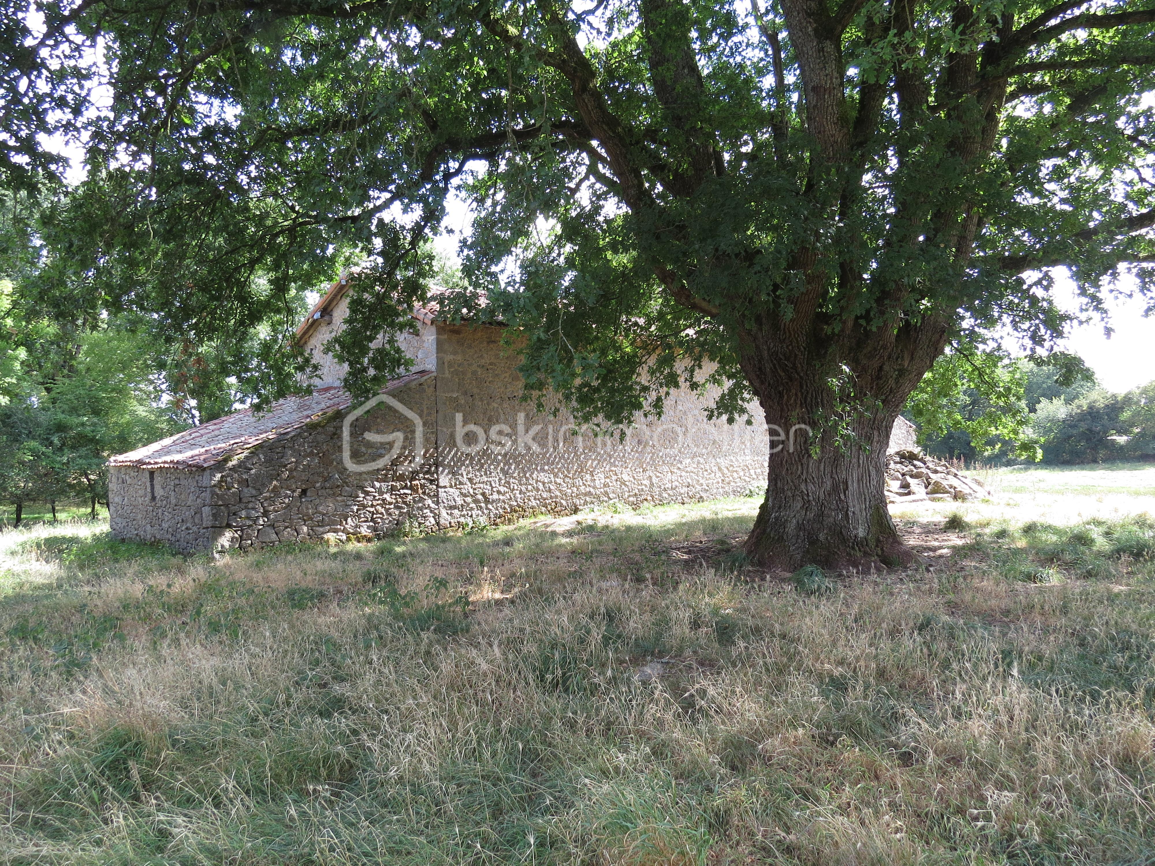 Maison ancienne de 1 140 m² - IMG_3244.JPG