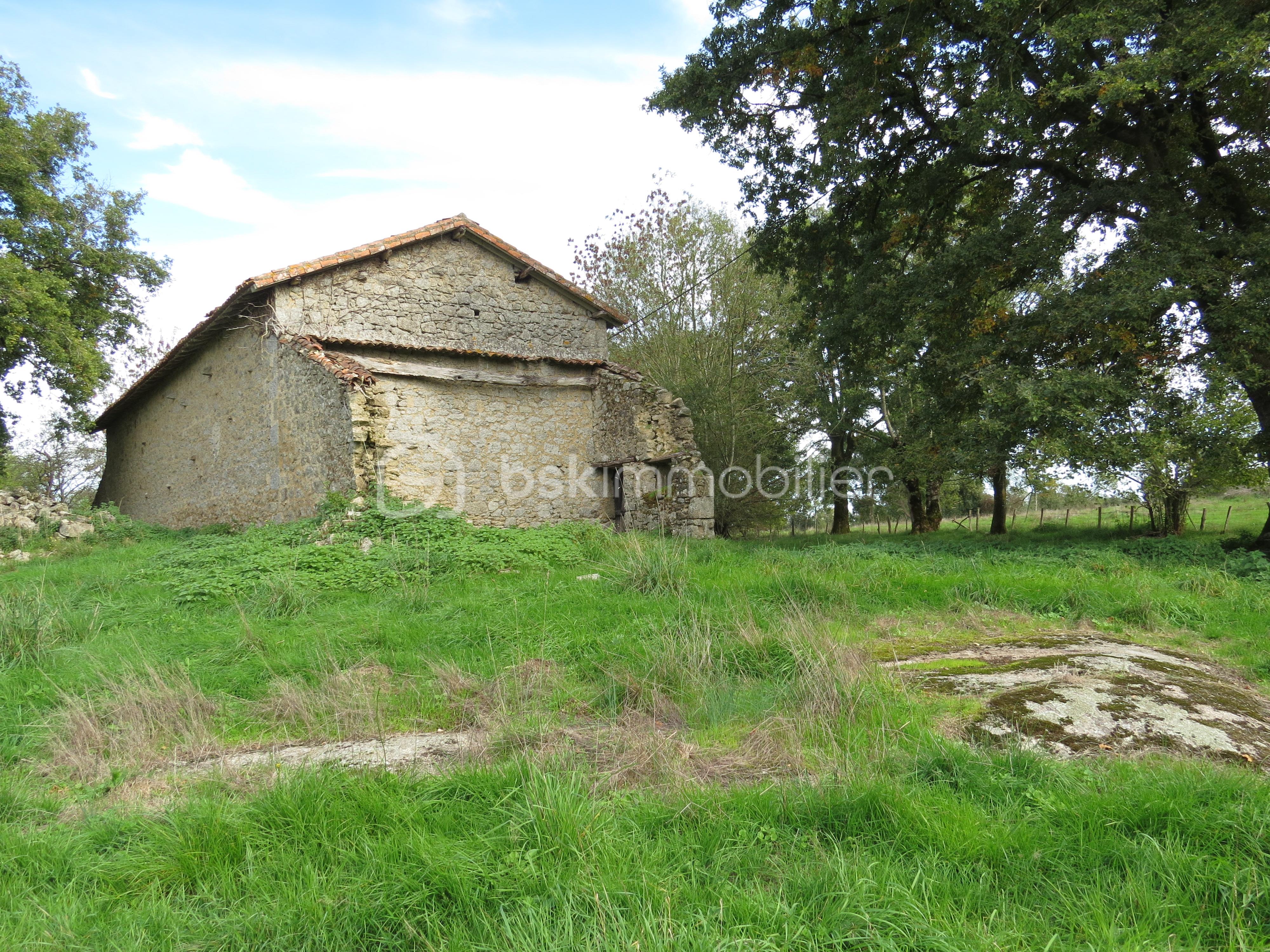 Maison ancienne de 1 140 m² - IMG_3385.JPG