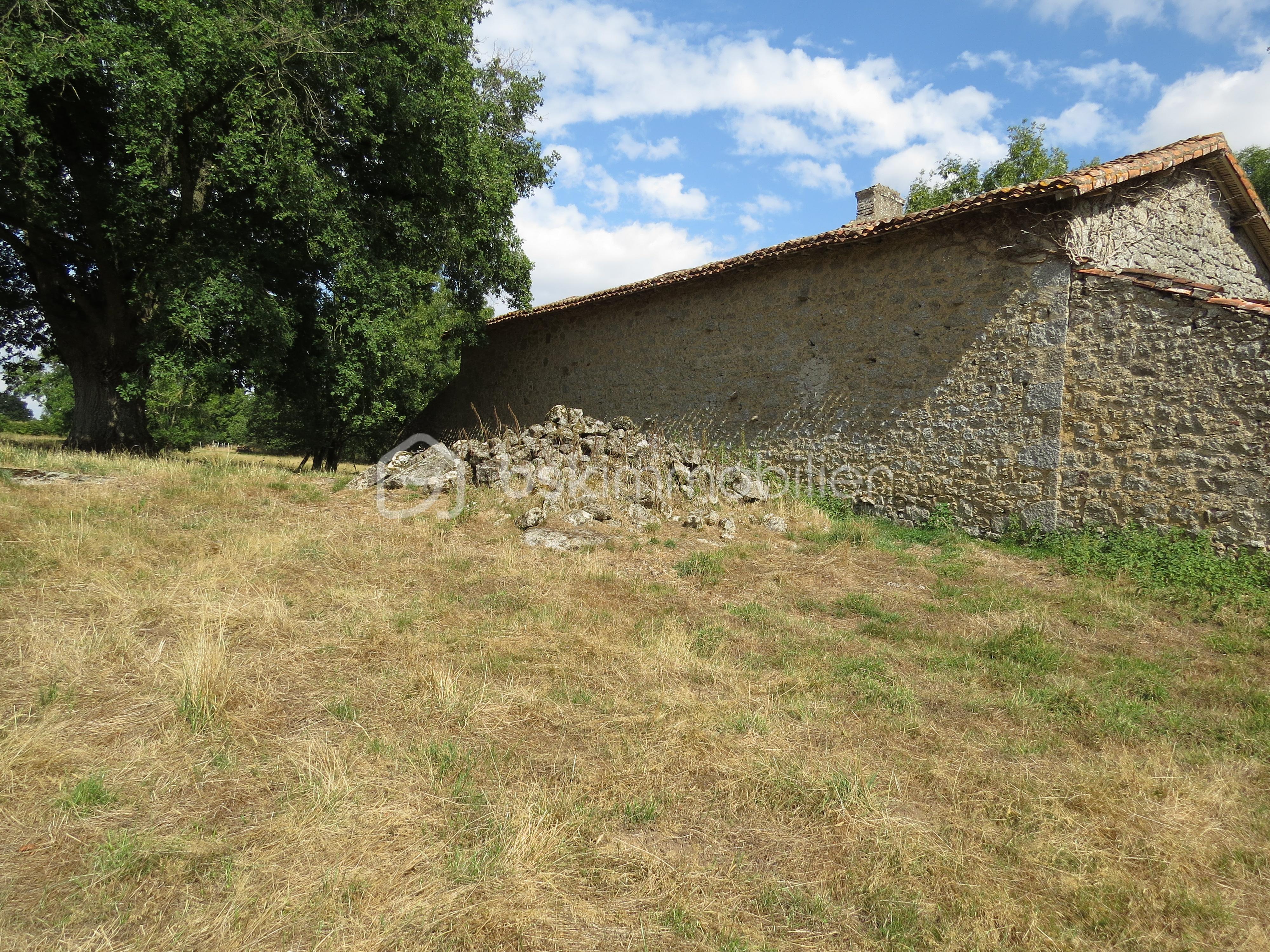 Maison ancienne de 1 140 m² - IMG_3241.JPG