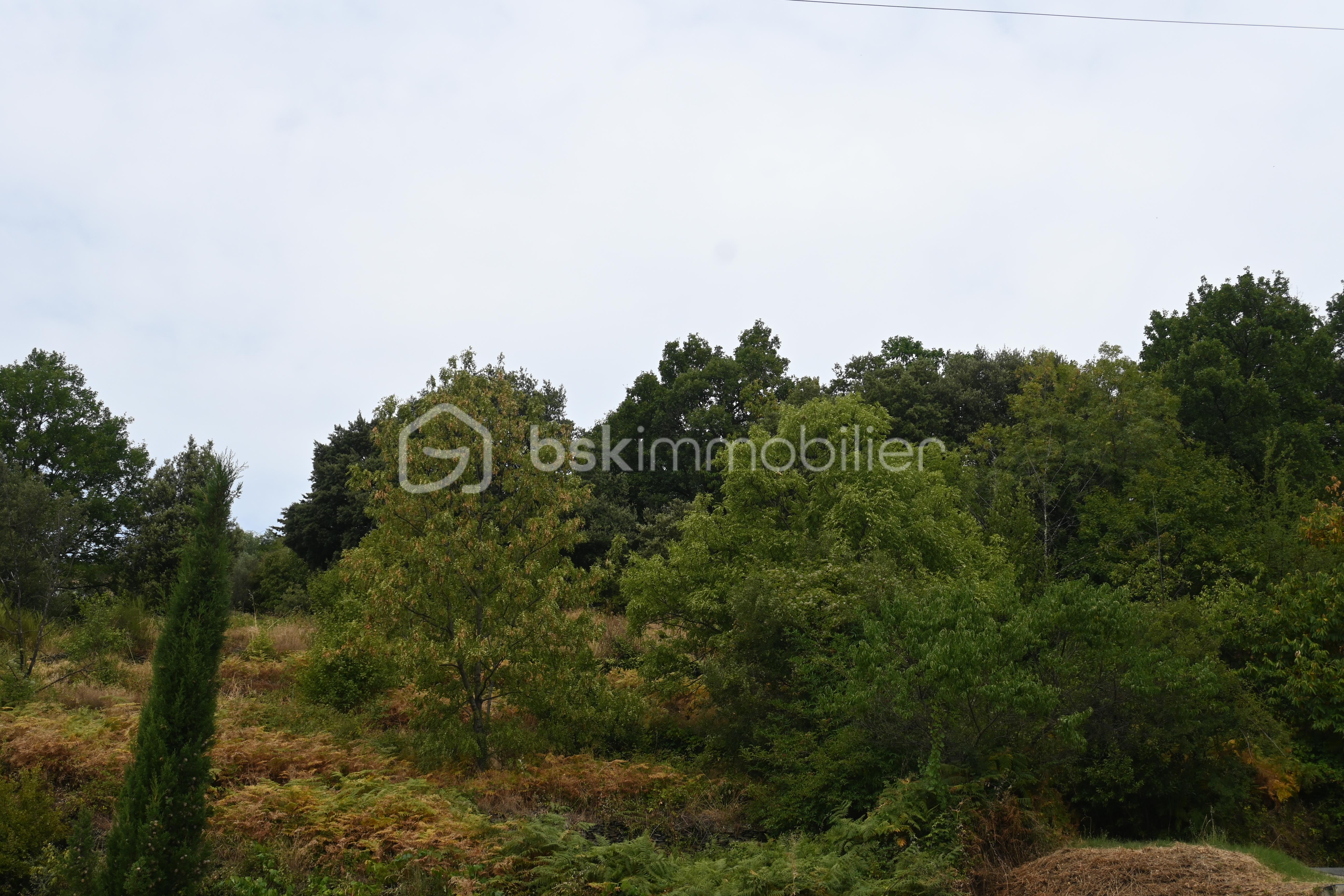 Terrain de 1 400 m² - 4.JPG