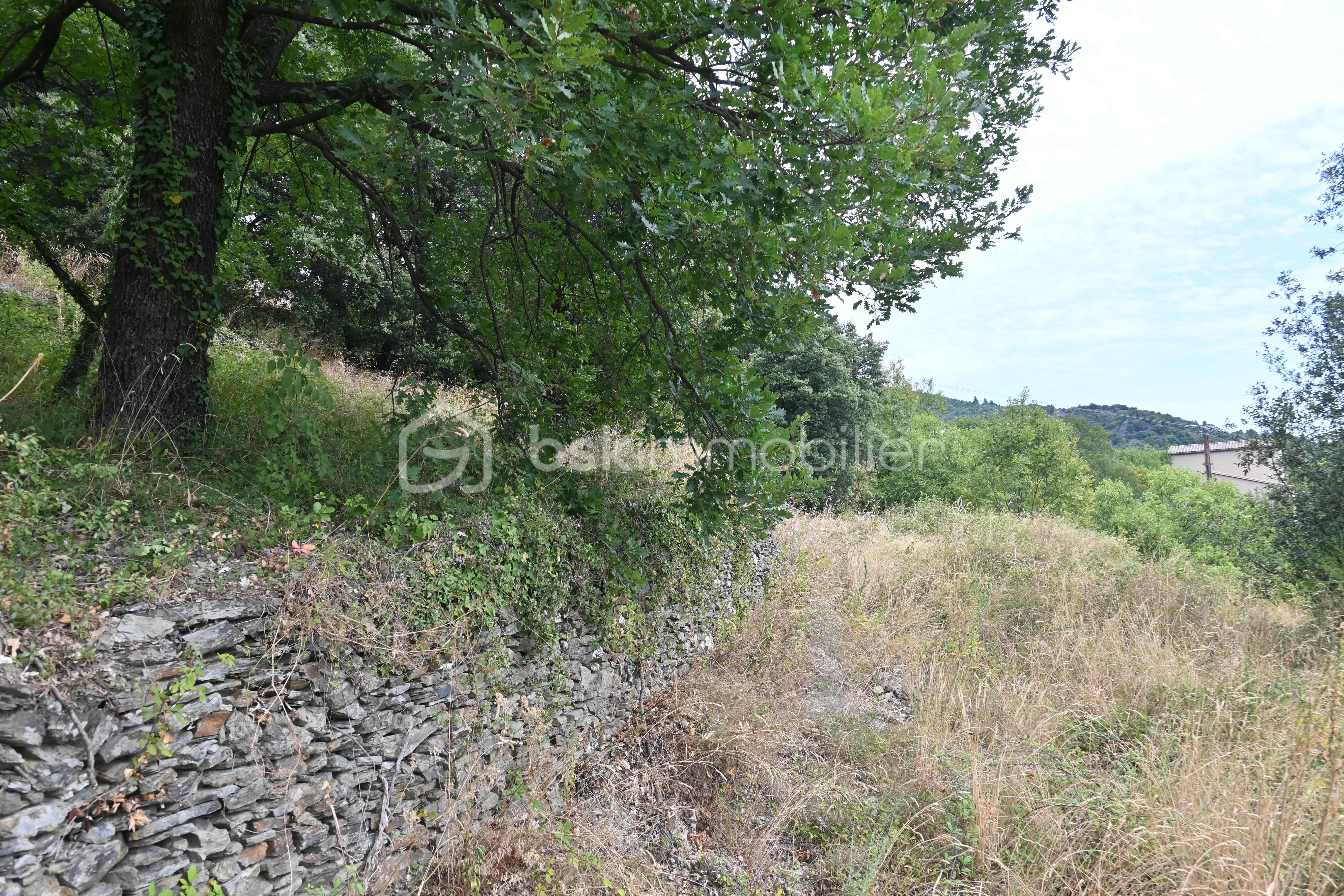 Terrain de 1 400 m² - 2.0.JPG