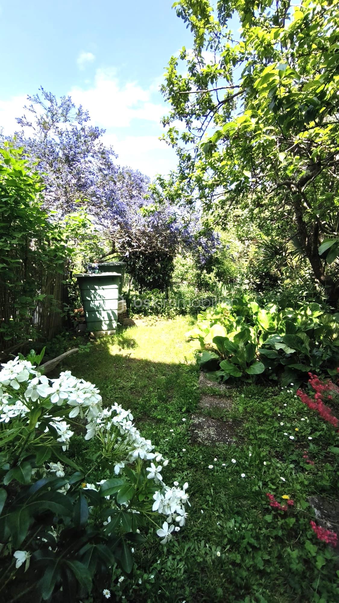 Jardin.jpg