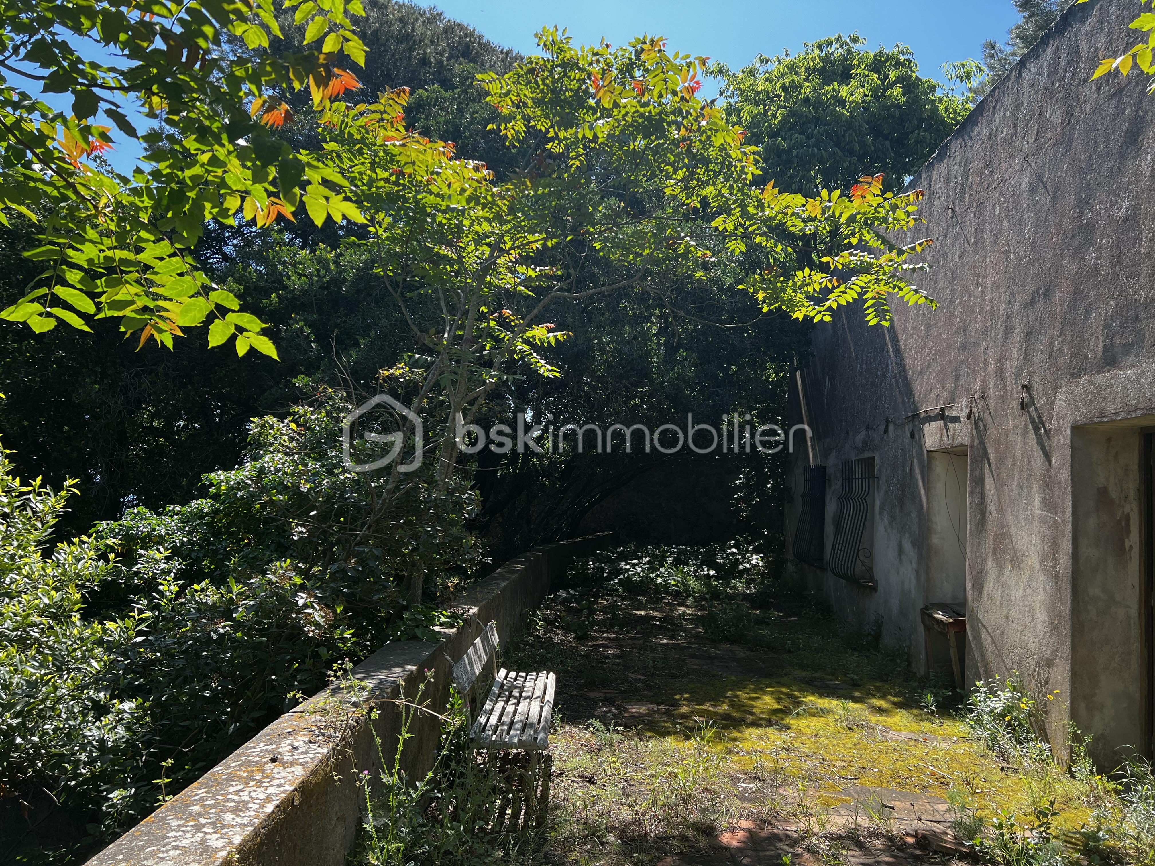 Terrain de 2 380 m² - 2.jpeg