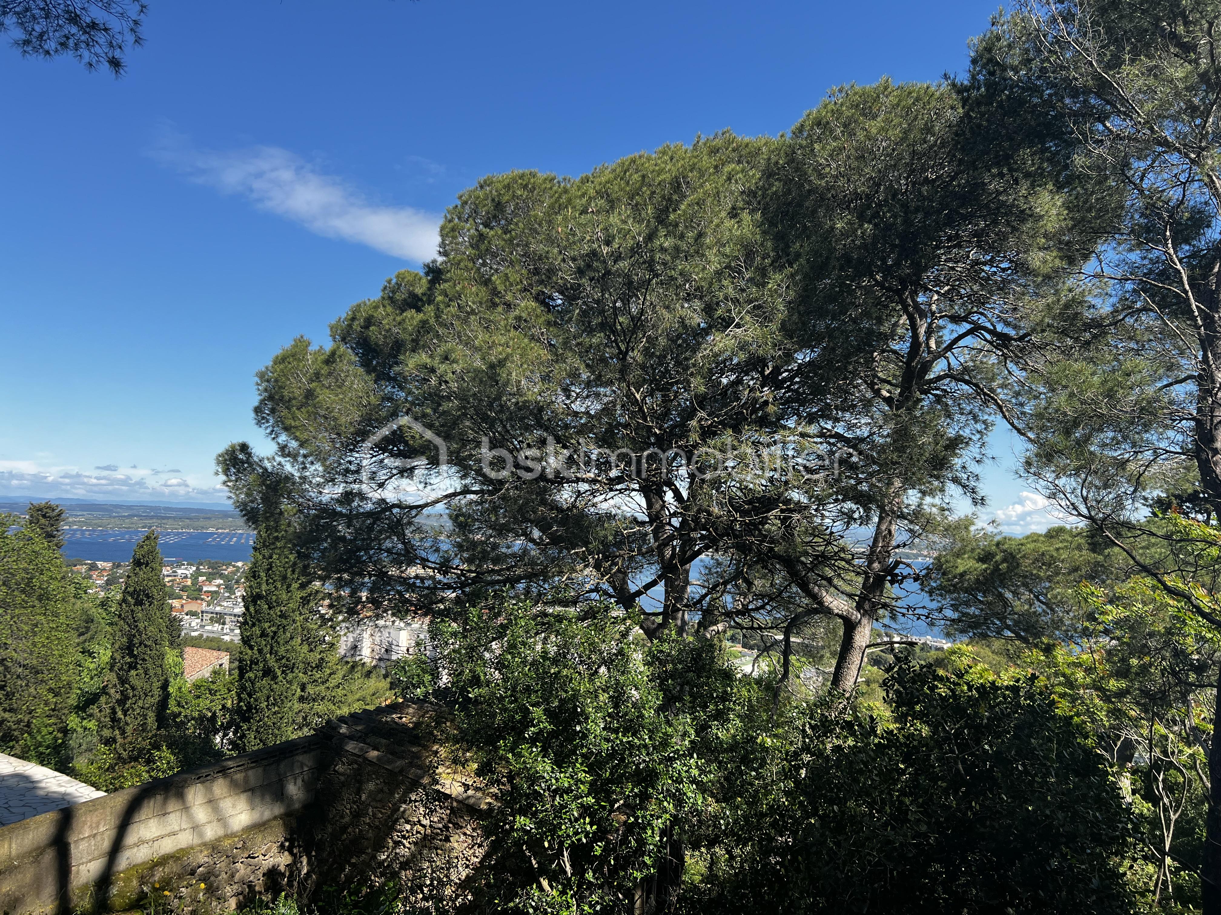 Terrain de 2 380 m² - 3.jpeg