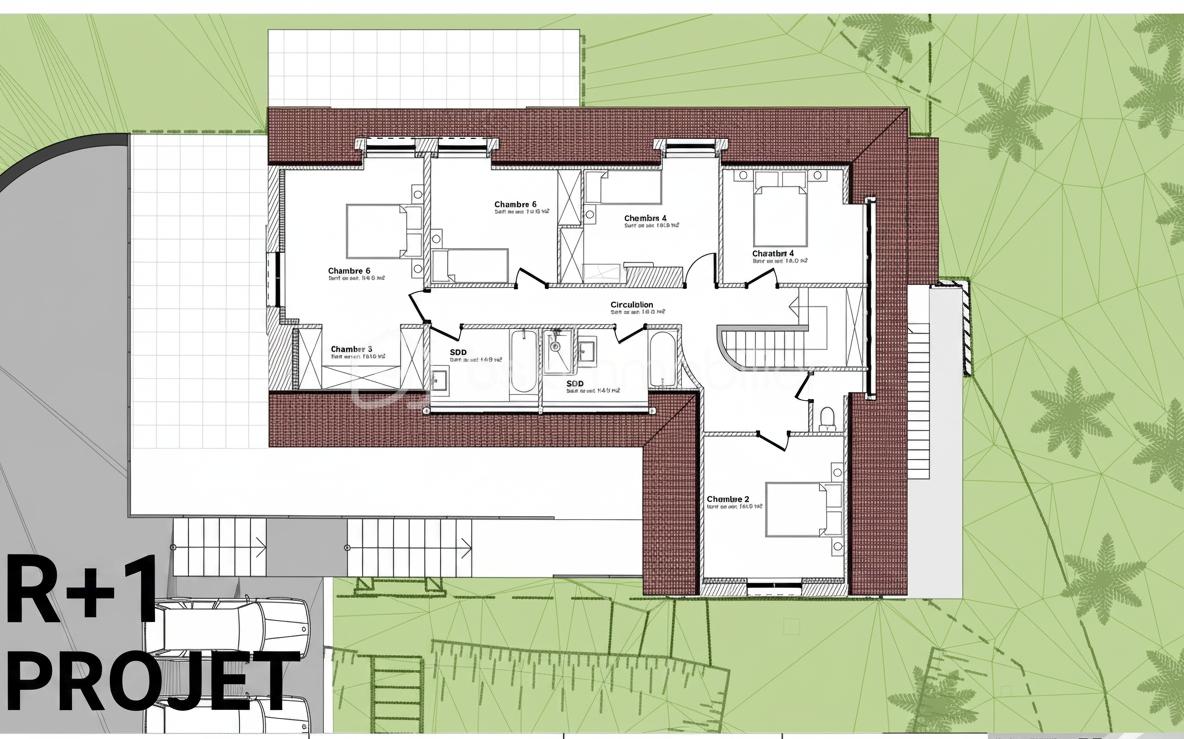 R+1 PROJET_page-0001.jpg