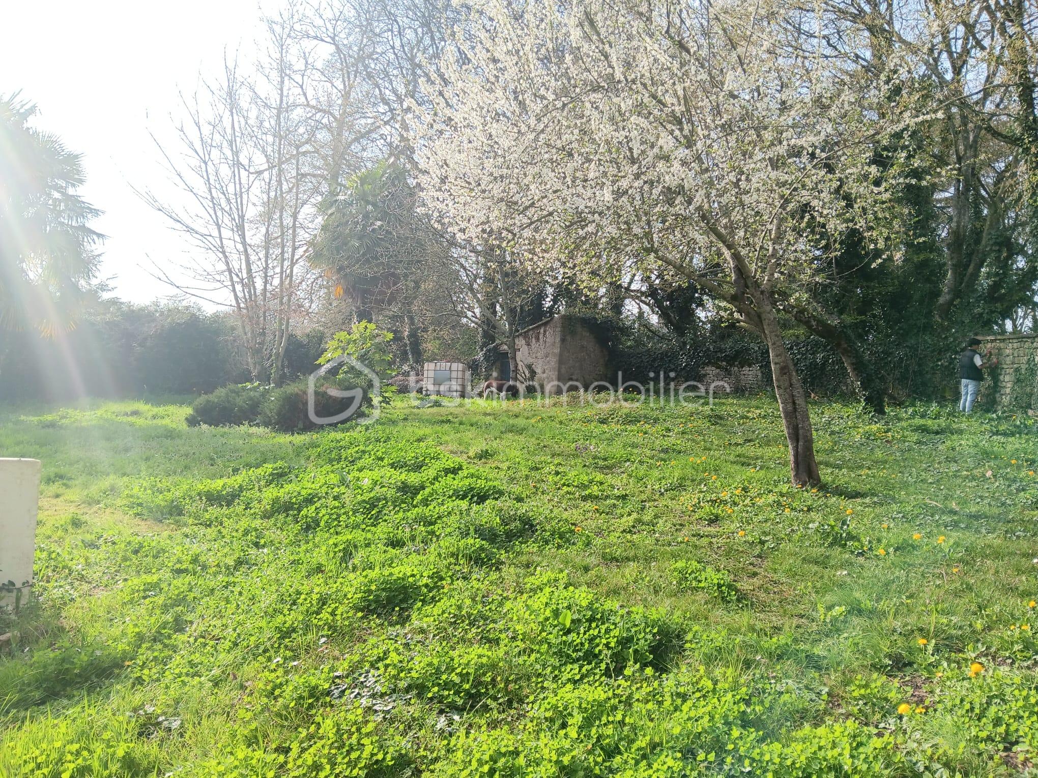 WhatsApp Image 2026-03-07 at 17.14.19 (11).jpeg