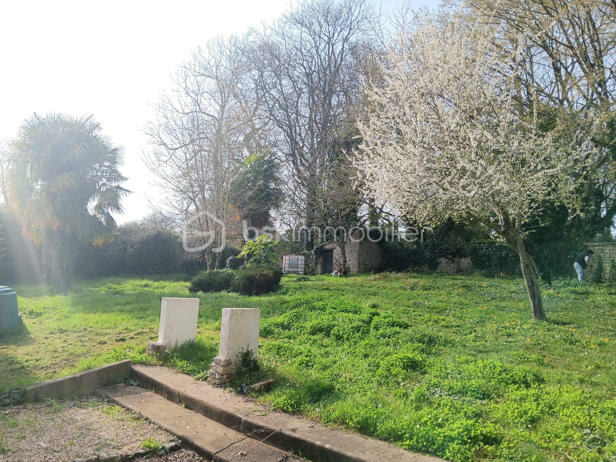 WhatsApp Image 2026-03-07 at 17.14.19 (12).jpeg