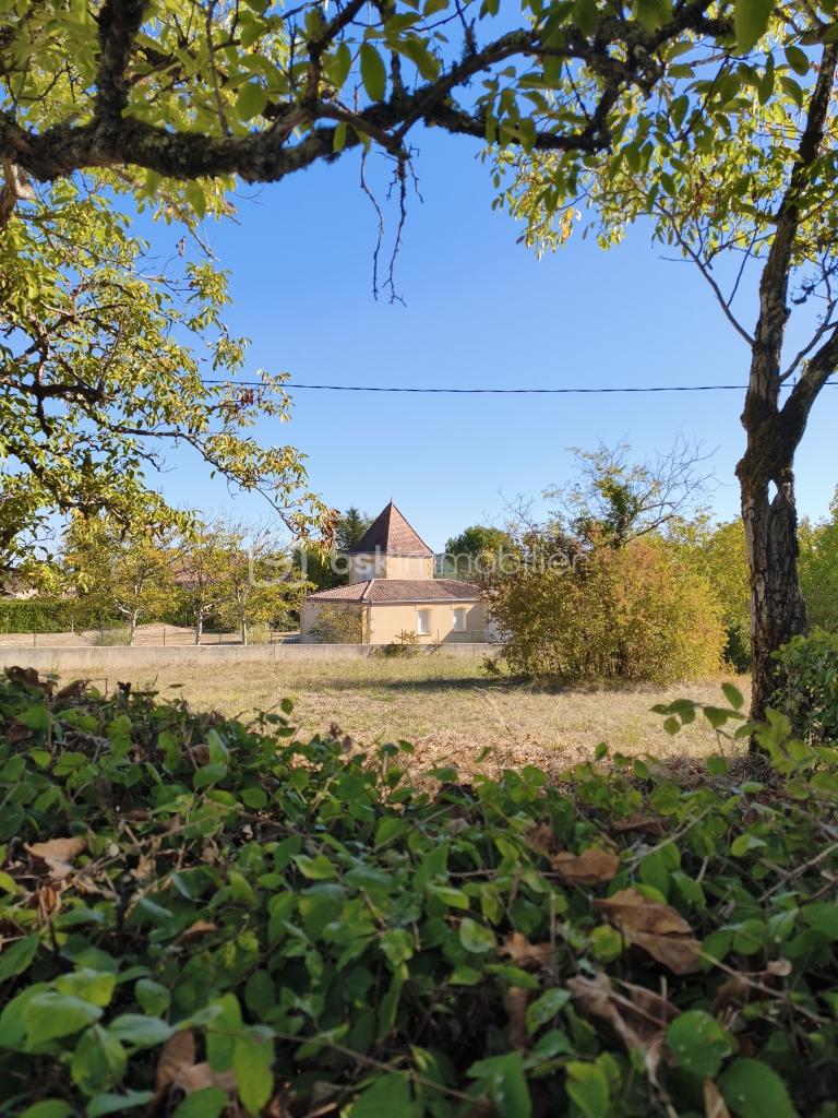 photo-loin2.jpg