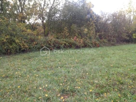 Lotissement de 1 983 m² - terrain loget 5.jpg