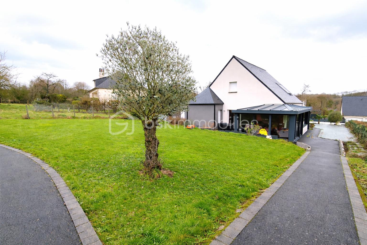 Maison moderne et olivier centenaire.png