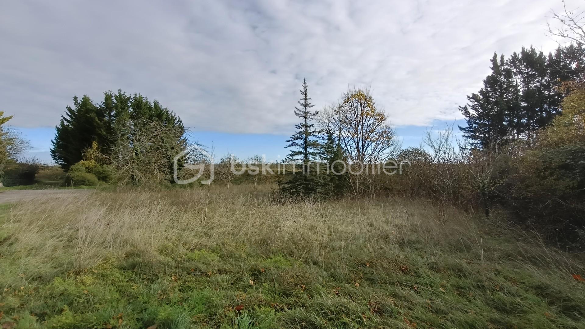 Terrain de loisirs de 3 259 m²