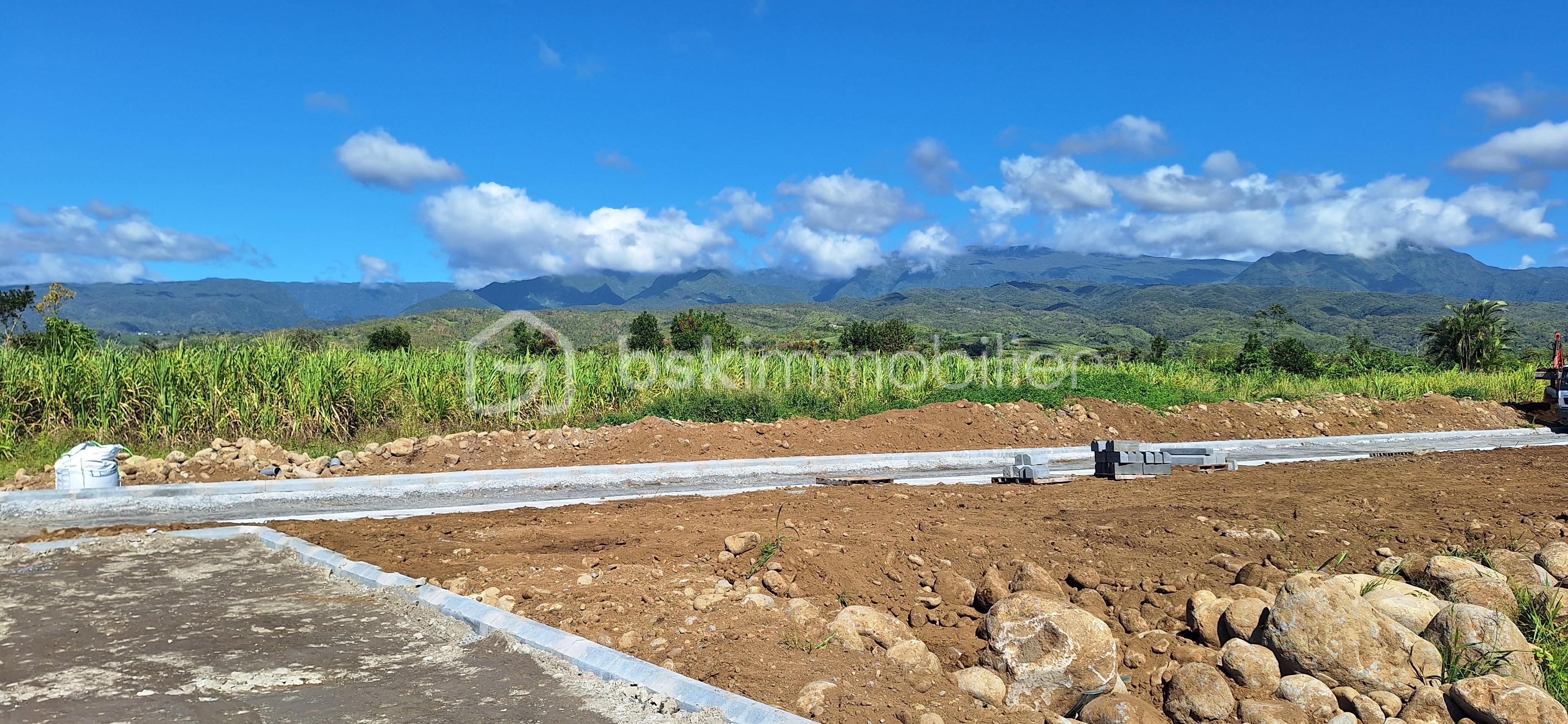 Terrain de 254 m² - 20250728_104453.jpg