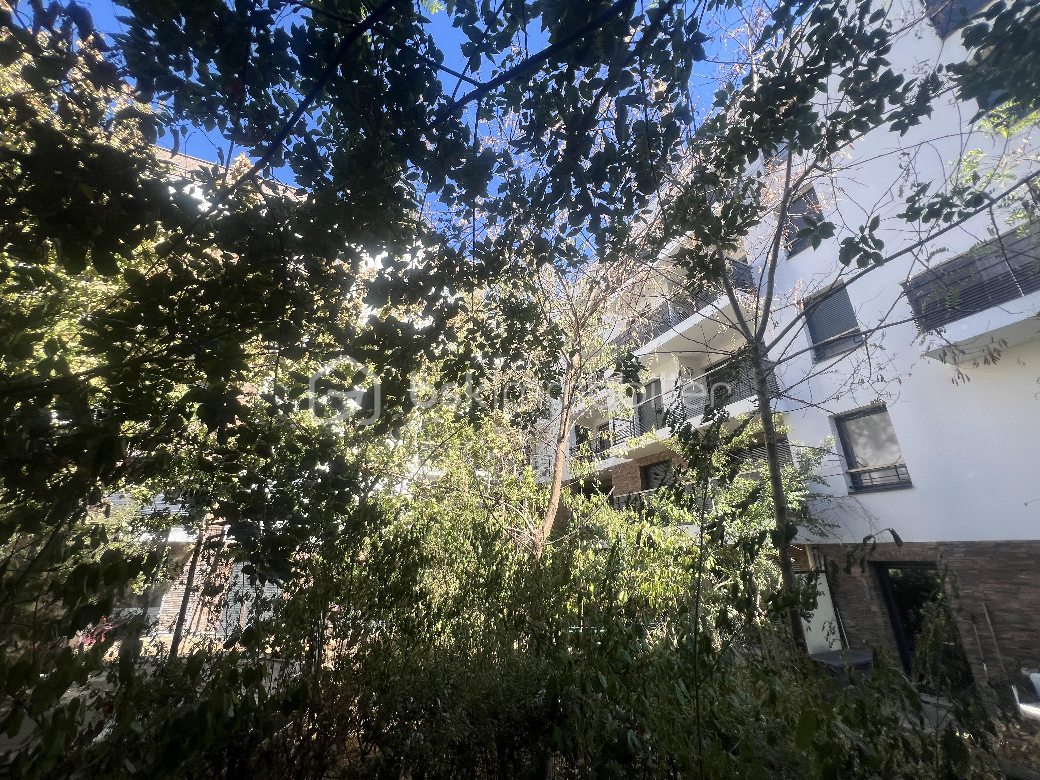 IMG_9176.jpeg
