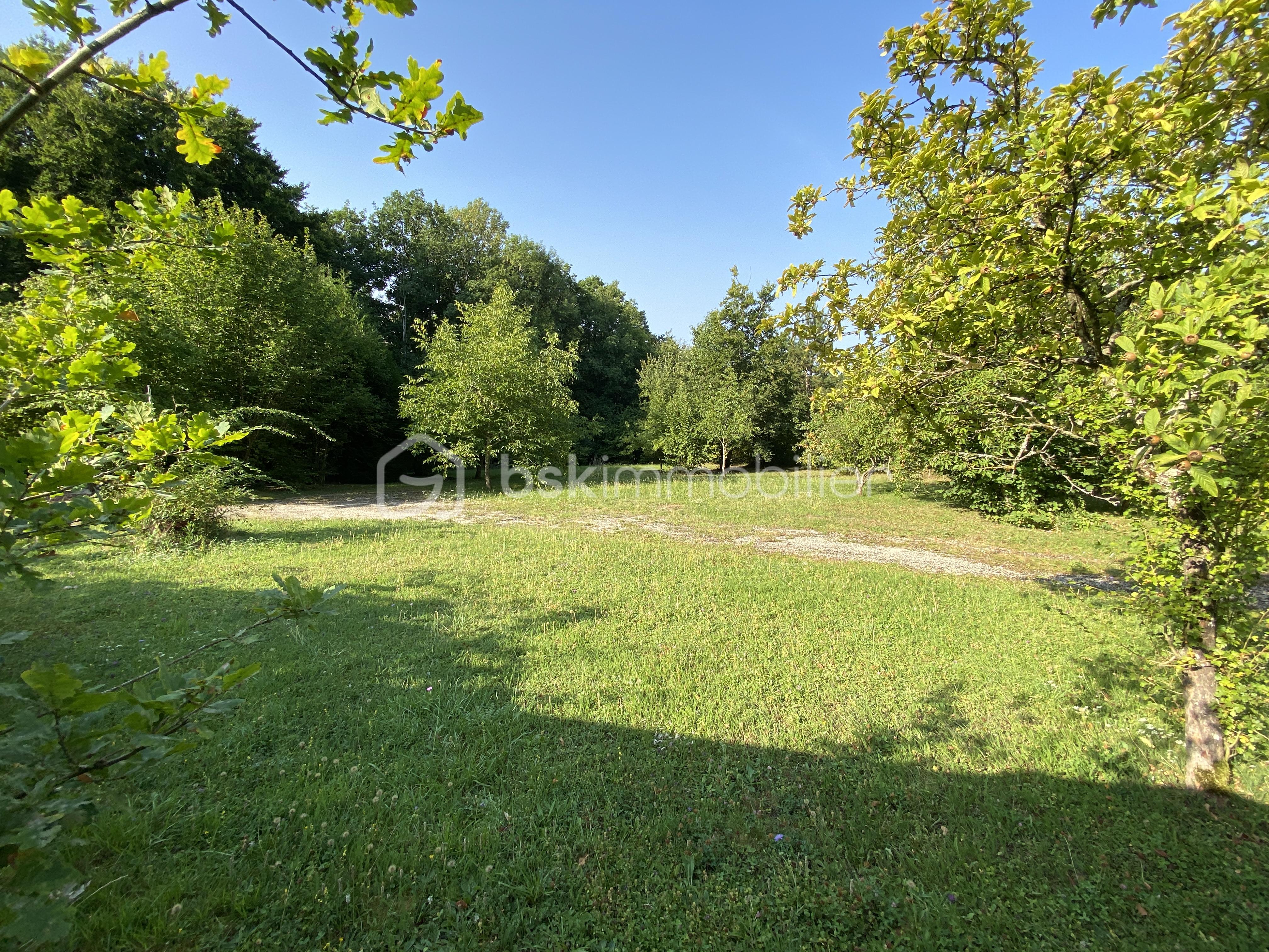Terrain de loisirs de 2 930 m² - Terrain Ménil la Horgne2.JPG