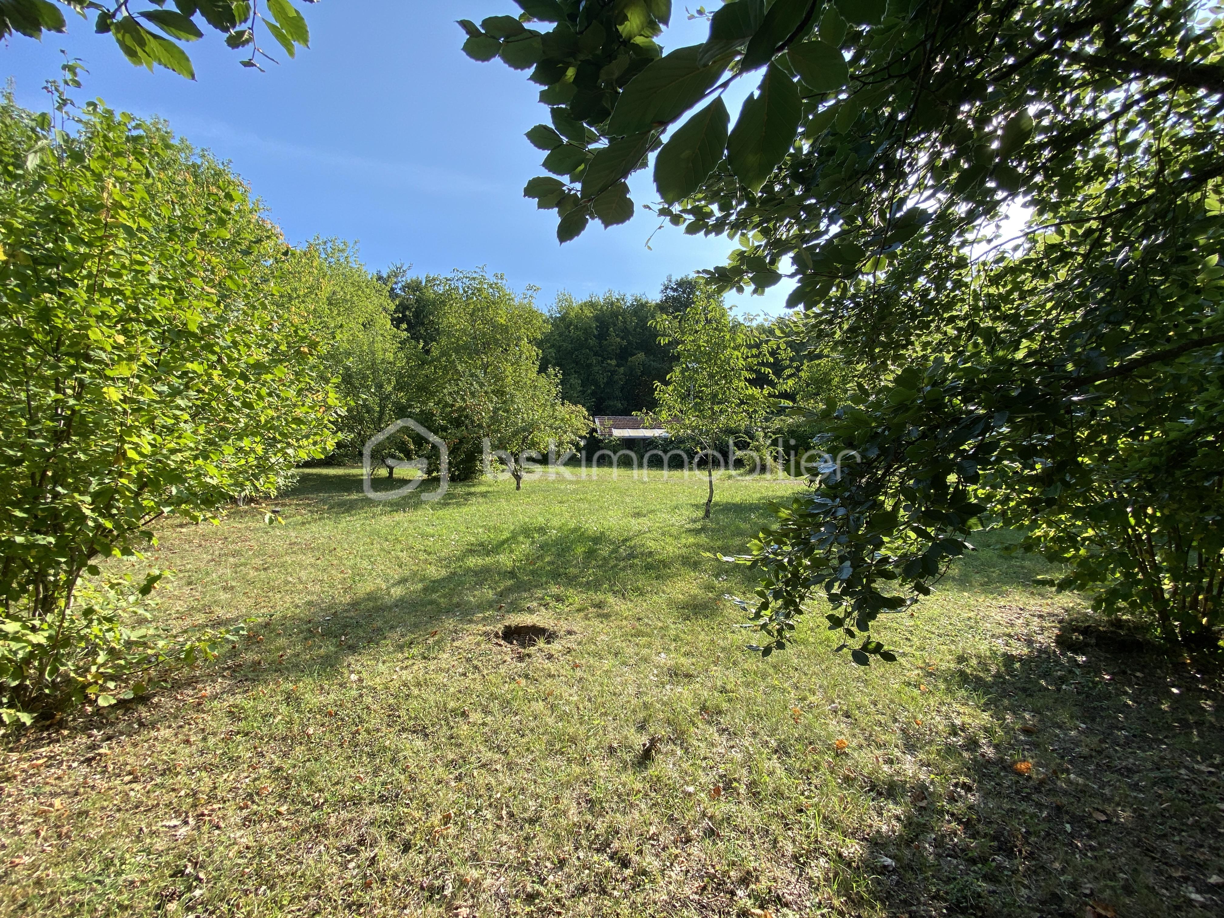 Terrain de loisirs de 2 930 m² - Terrain Ménil la Horgne12.JPG