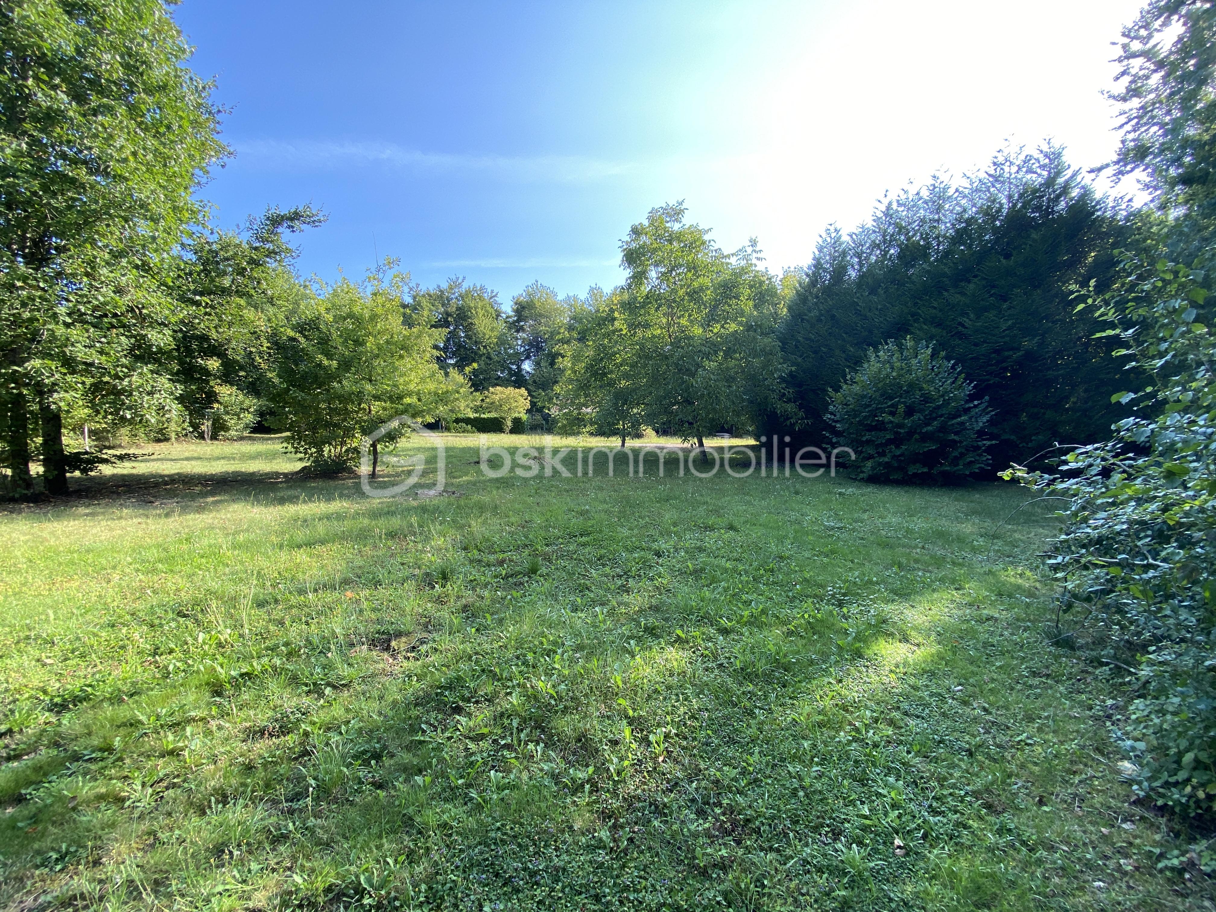 Terrain de loisirs de 2 930 m² - Terrain Ménil la Horgne13.JPG