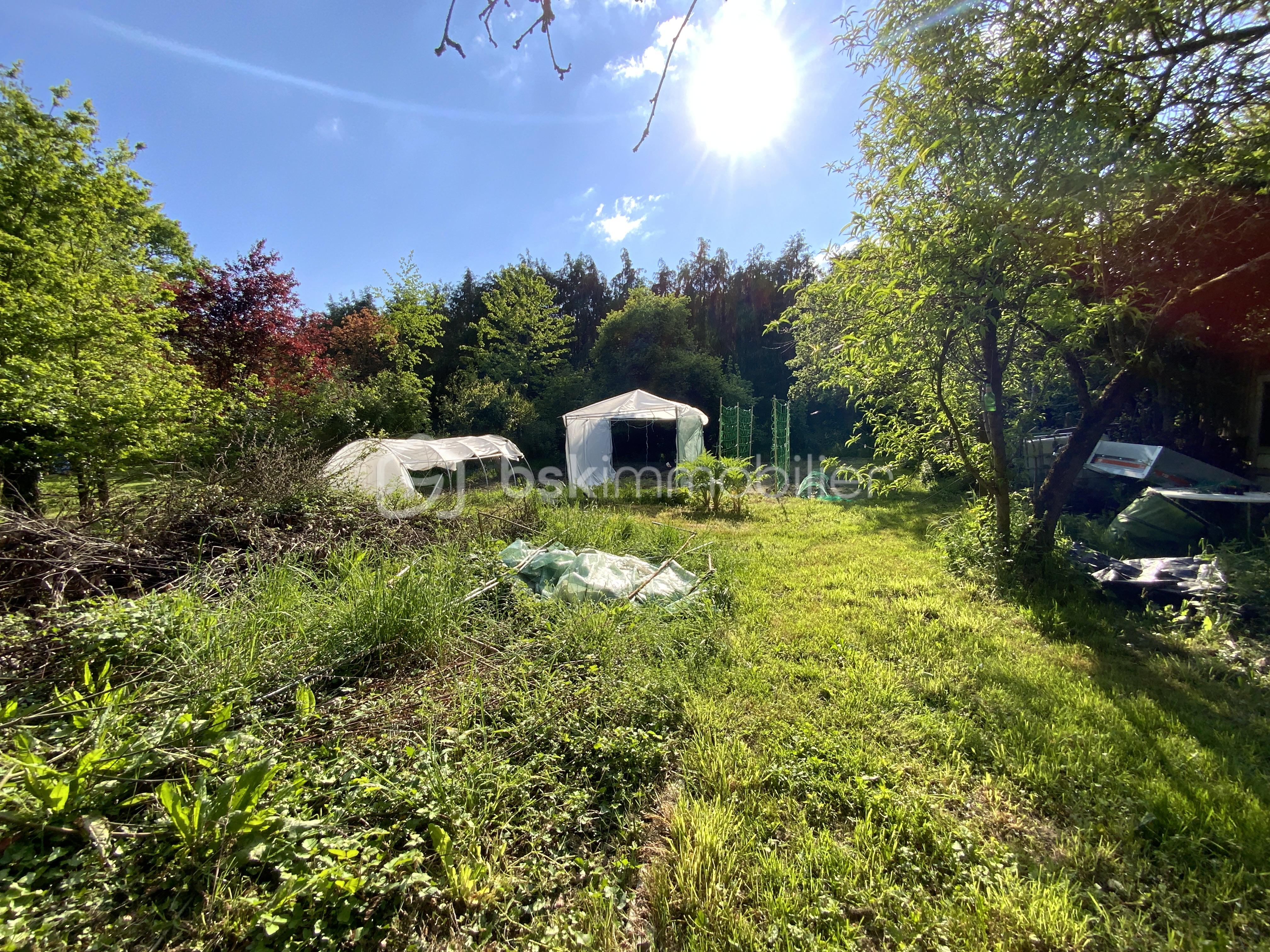 Maison de 117 m² - jardin 1.JPG