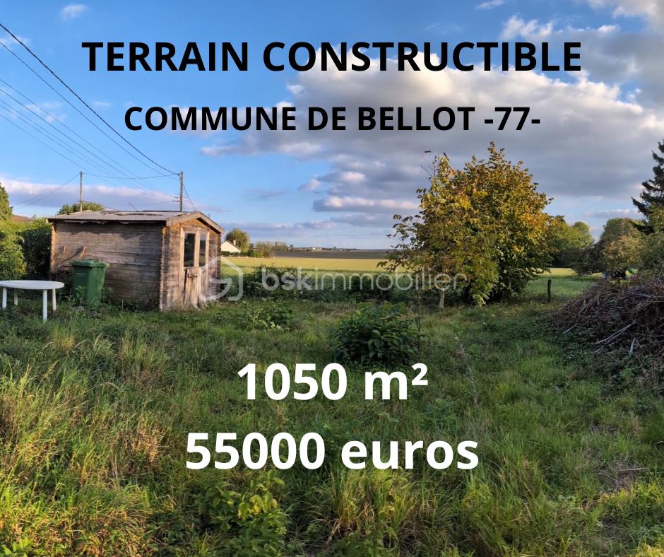 TERRAIN CONSTRUCTIBLE.png