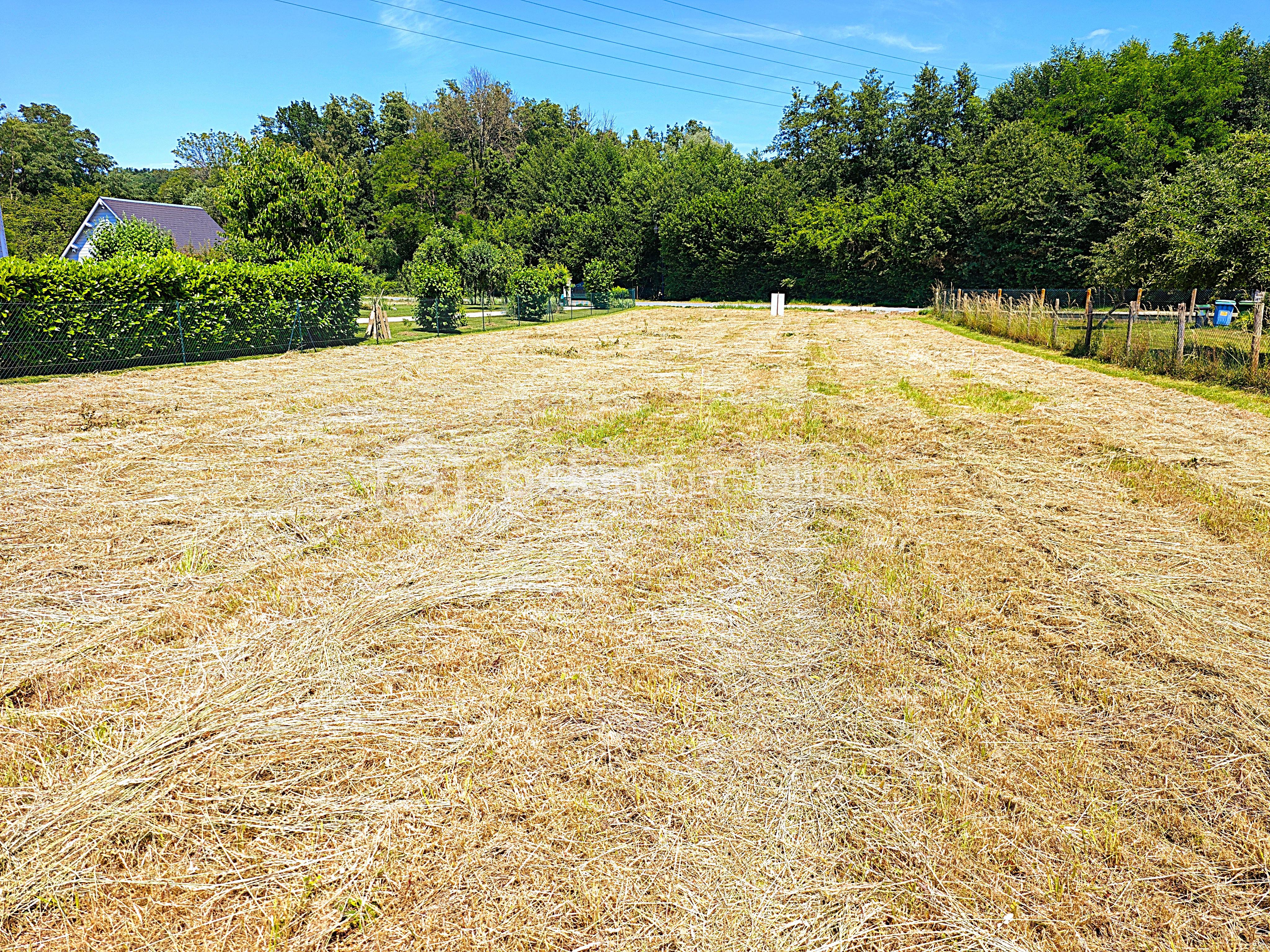 600 m2.jpg