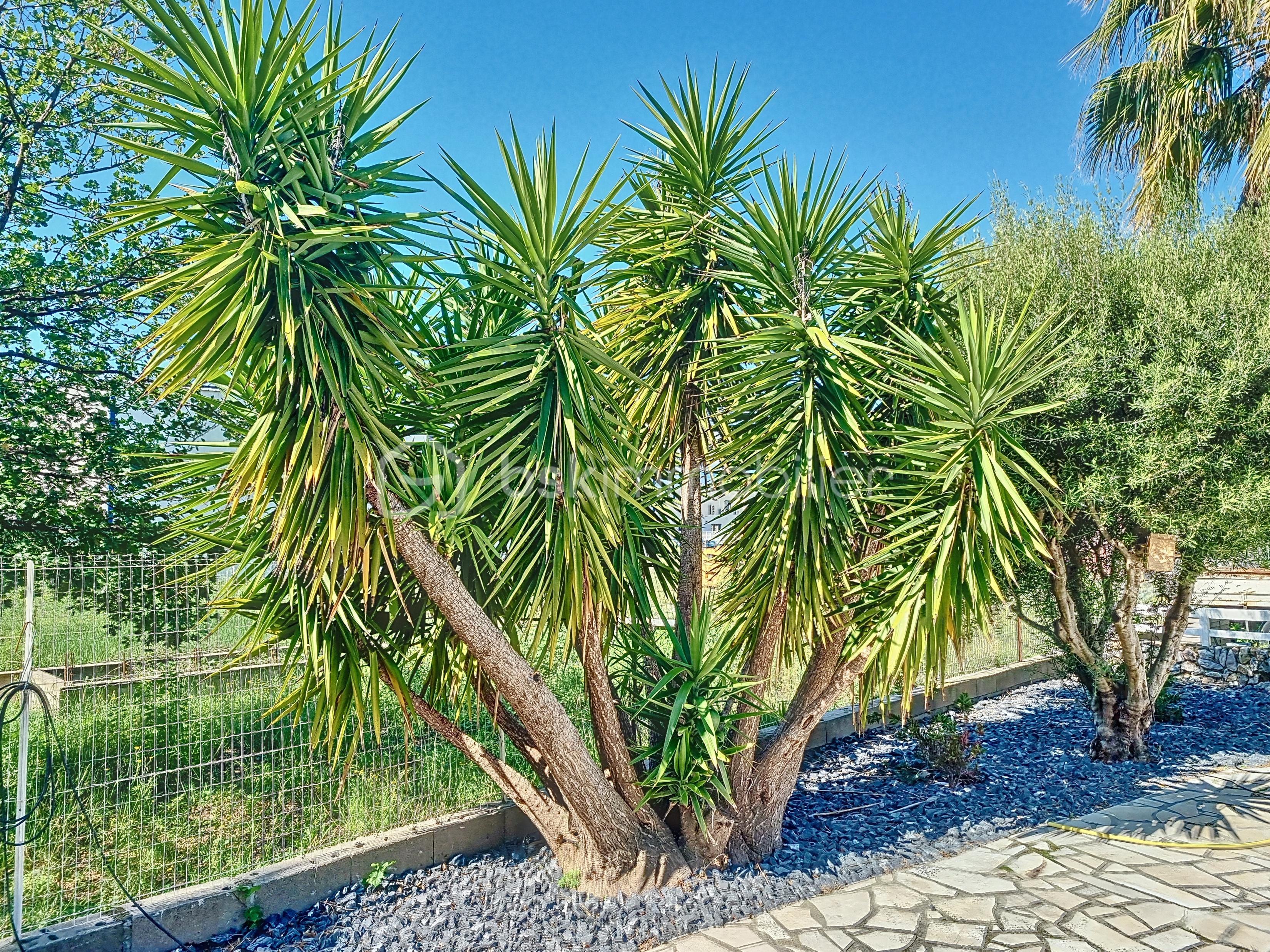 Maison de 232 m² - aYVNsVk9RMEUtMjAyNDA1MjMwNzUzNDk_20240523102503_06763_db33f27.jpg