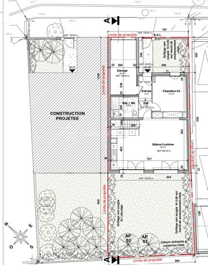 plan rdc maison 2.jpg
