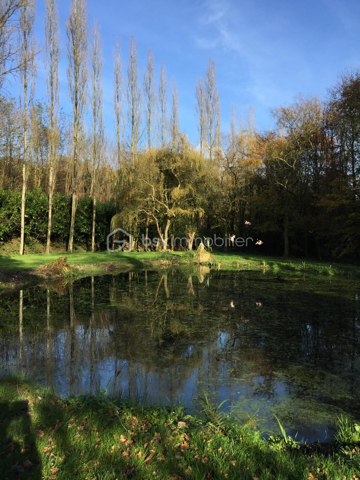 Maison de 223 m² - WhatsApp Image 2025-12-20 at 19.23.35.jpeg