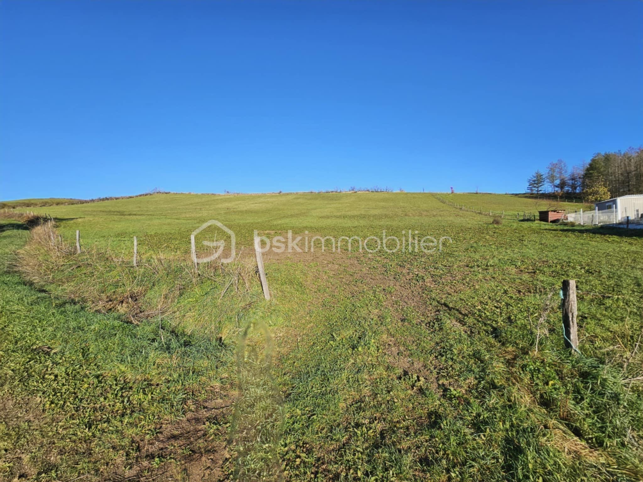 Terrain de 7 380 m² - 913dcab0-e97f-4757-94ef-74765346e1d9.jpeg