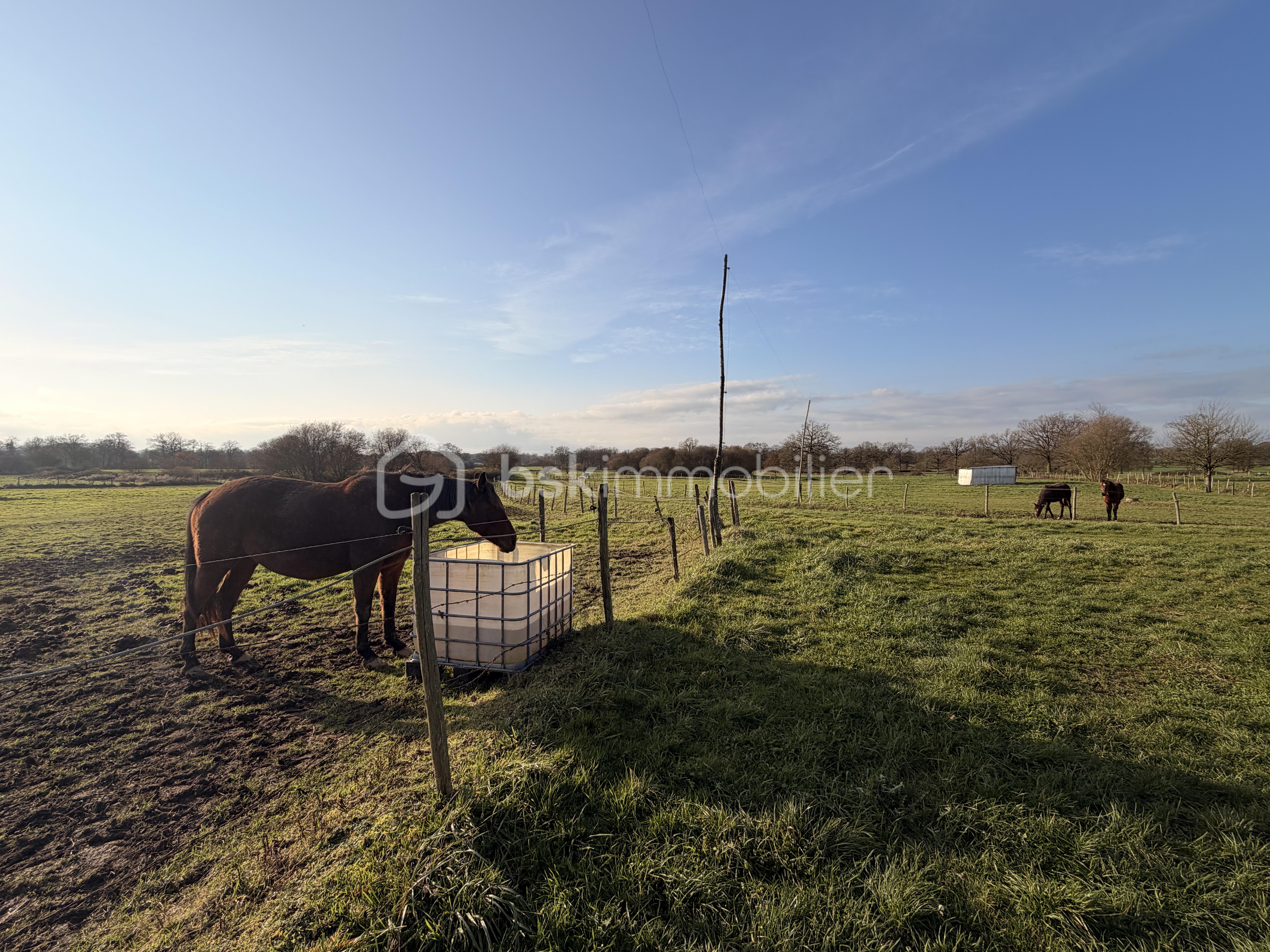 Maison de 155 m² - LAISIS LYDIE IMG_5844.JPG