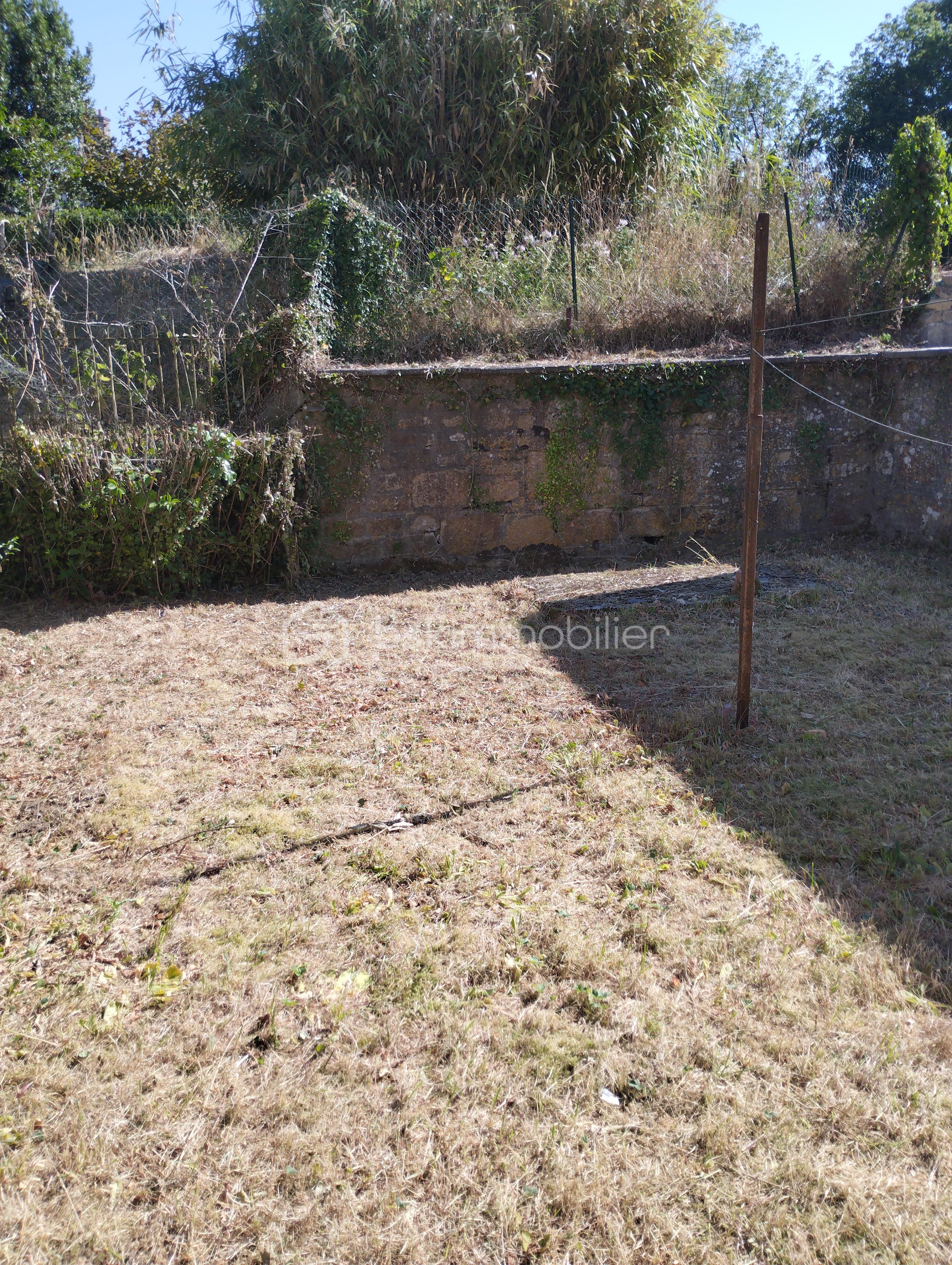 Jardin.jpg