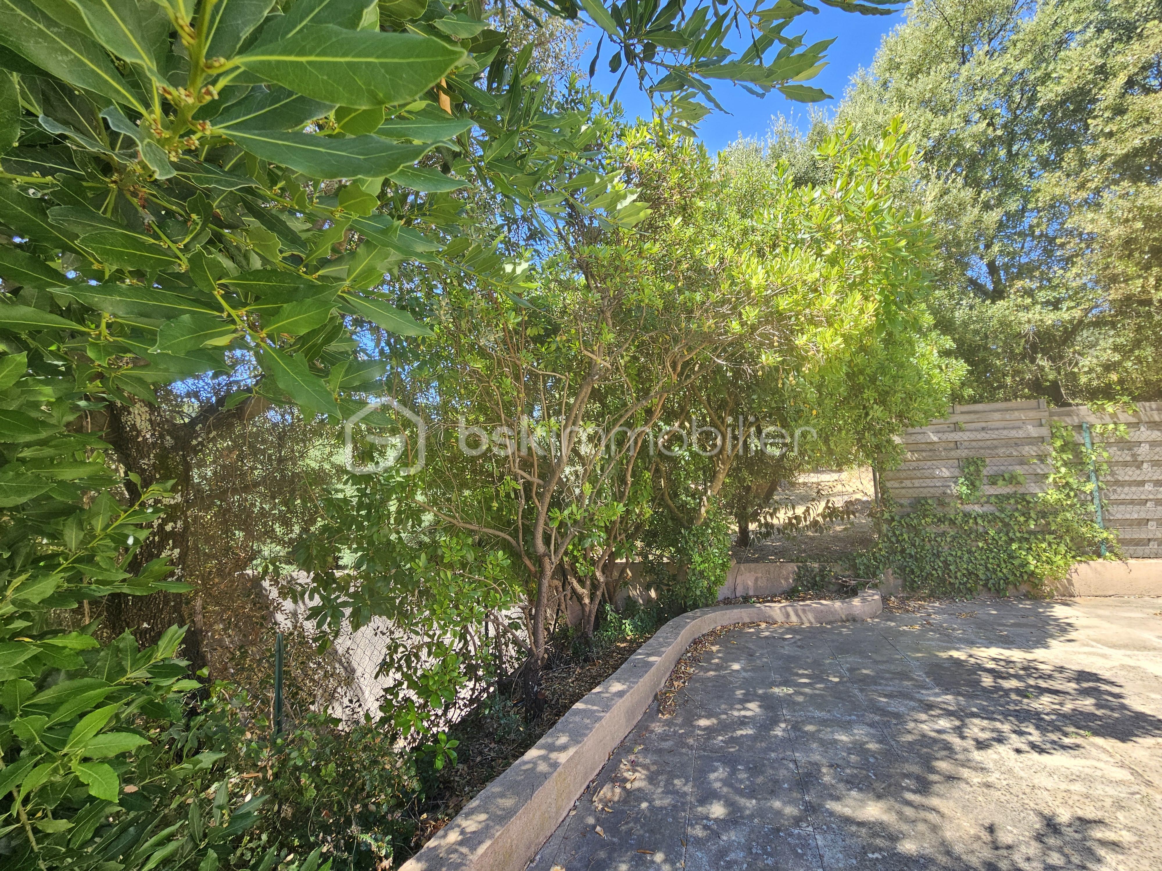 Maison provencale de 135 m² - 20250711_113206.jpg